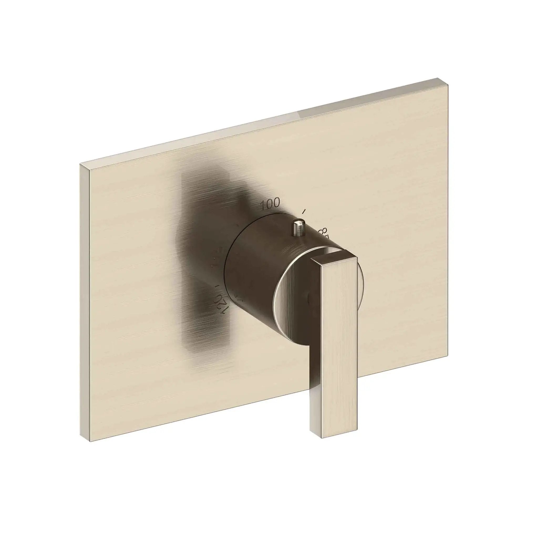 Newport Brass Secant 3/4" Rectangular Thermostatic Trim Plate with Handle by Newport Brass