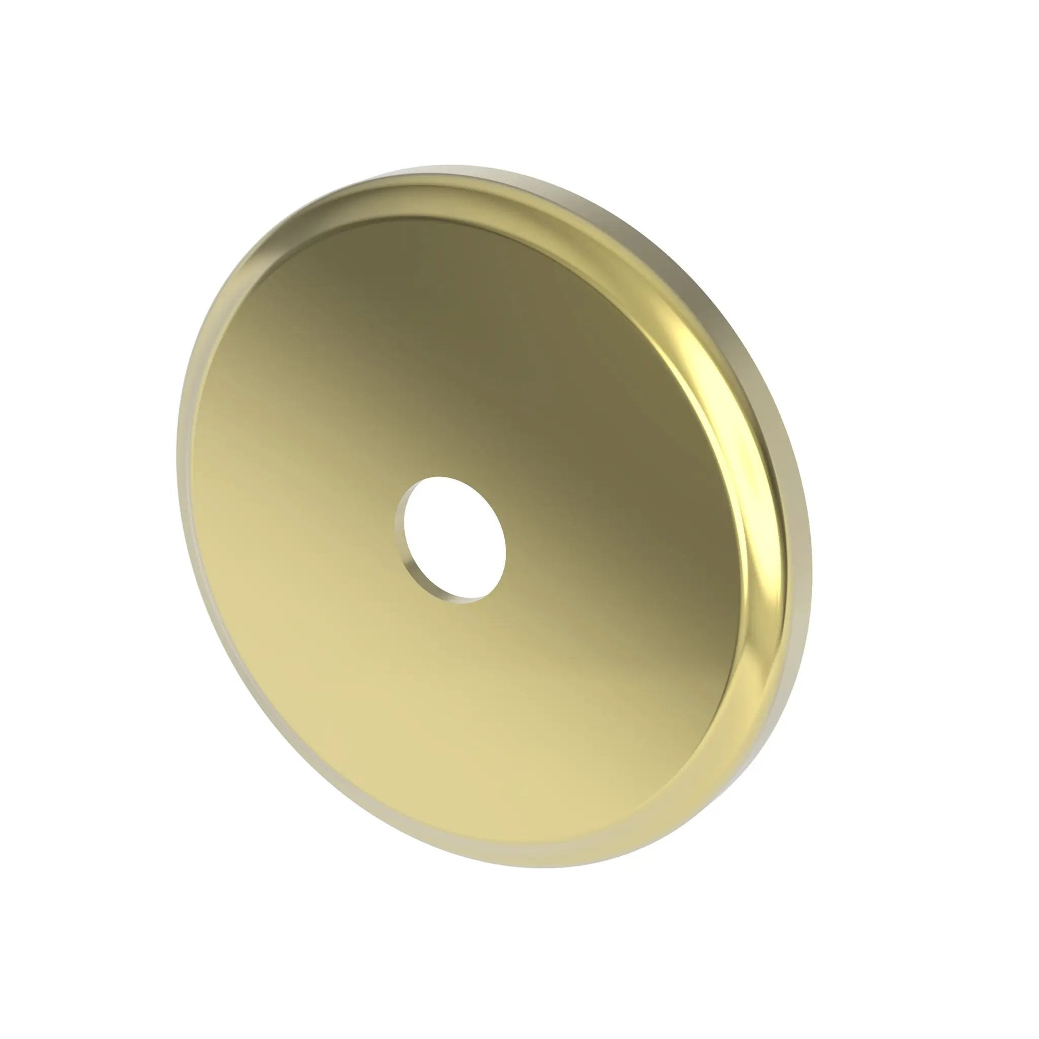 Newport Brass Tub & Shower Diverter Plate by Newport Brass