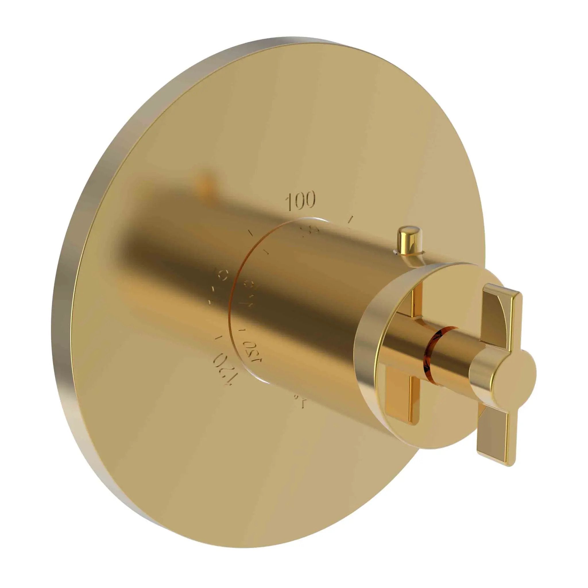 Newport Brass Tolmin 3/4" Round Thermostatic Trim Plate with Handle by Newport Brass