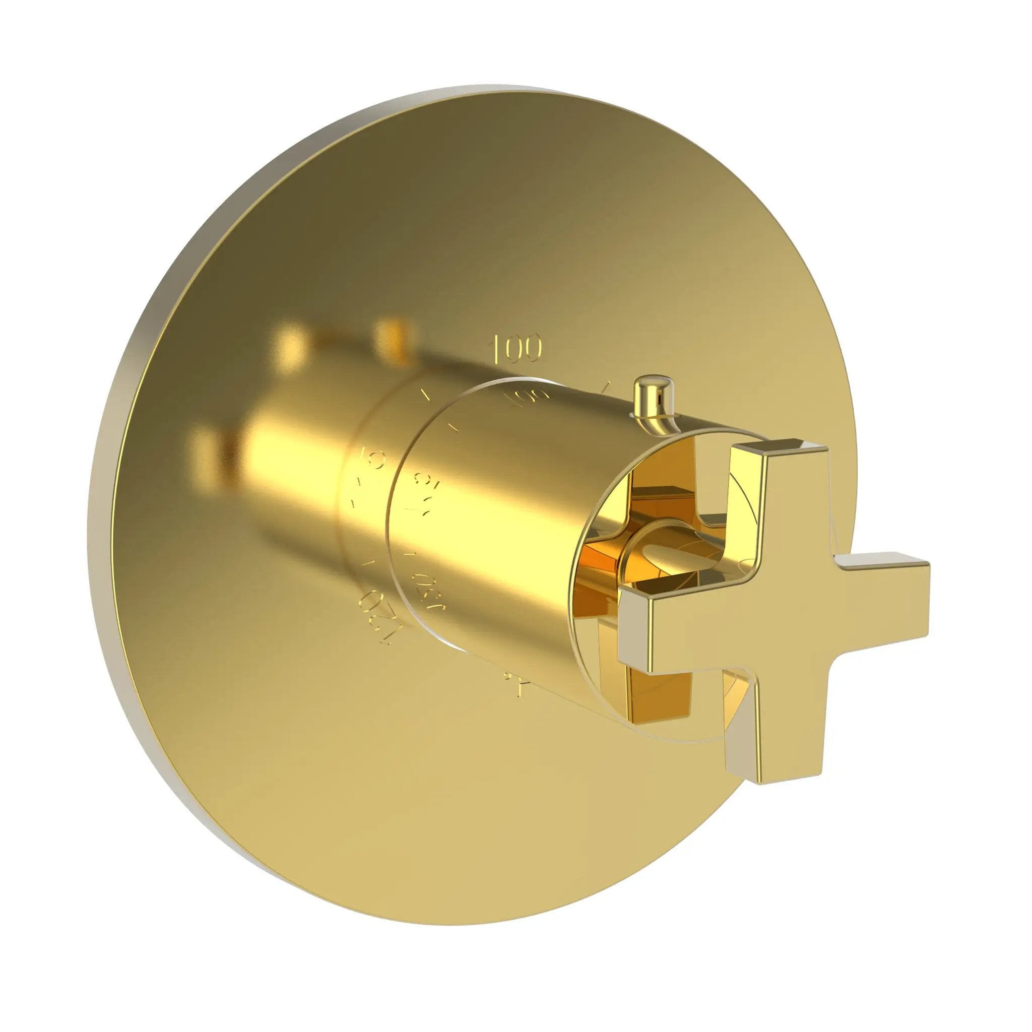 Newport Brass Dorrance 3/4" Round Thermostatic Trim Plate with Handle by Newport Brass