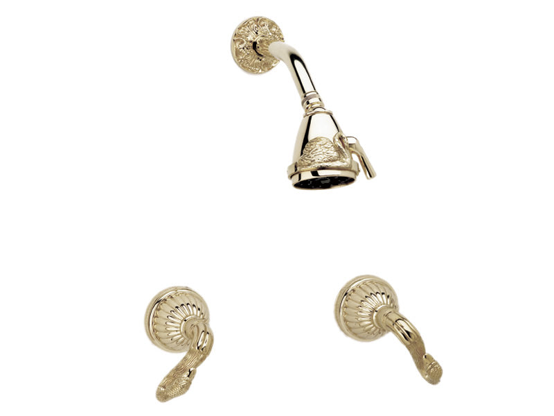 polished brass shower set