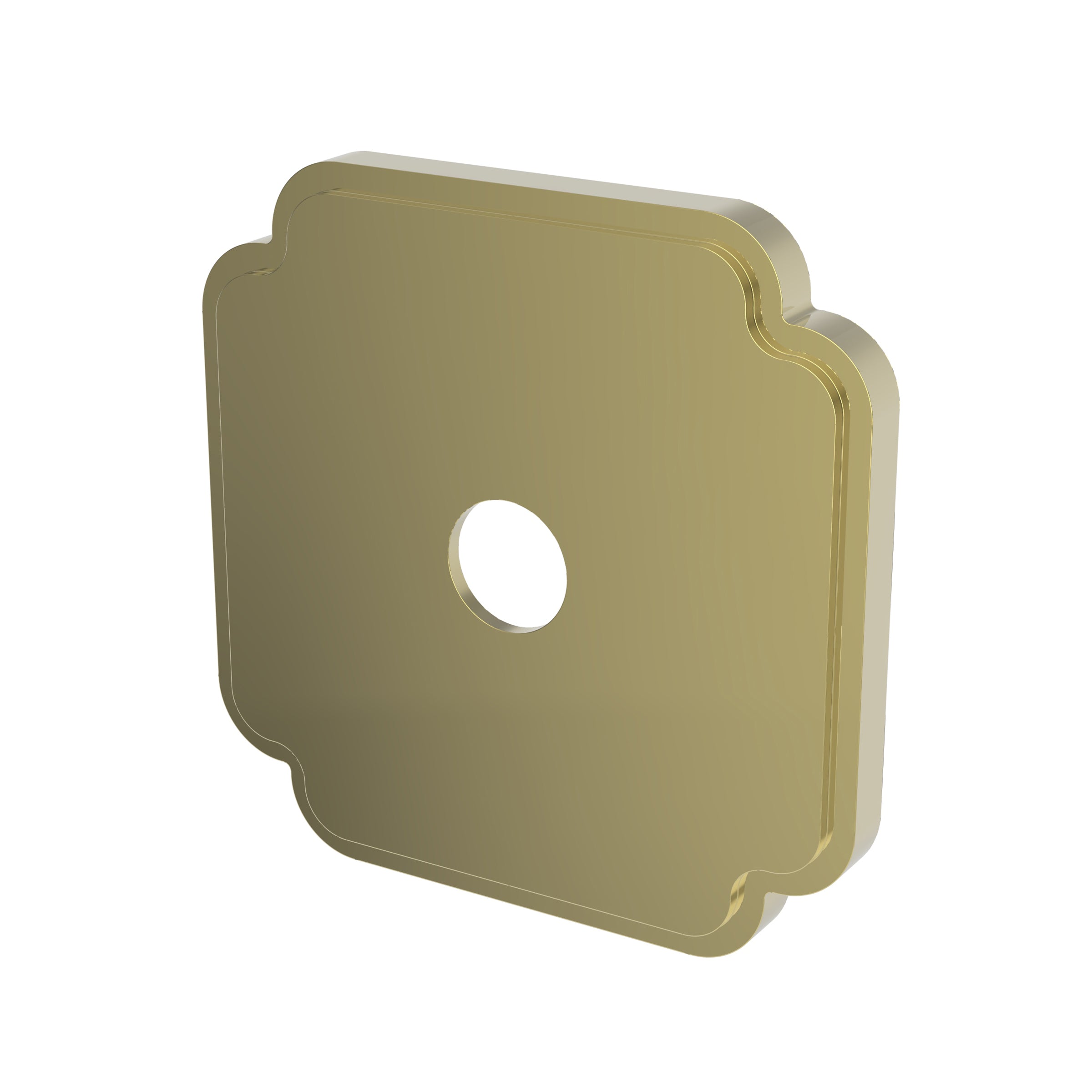 Newport Brass Tub & Shower Diverter Plate