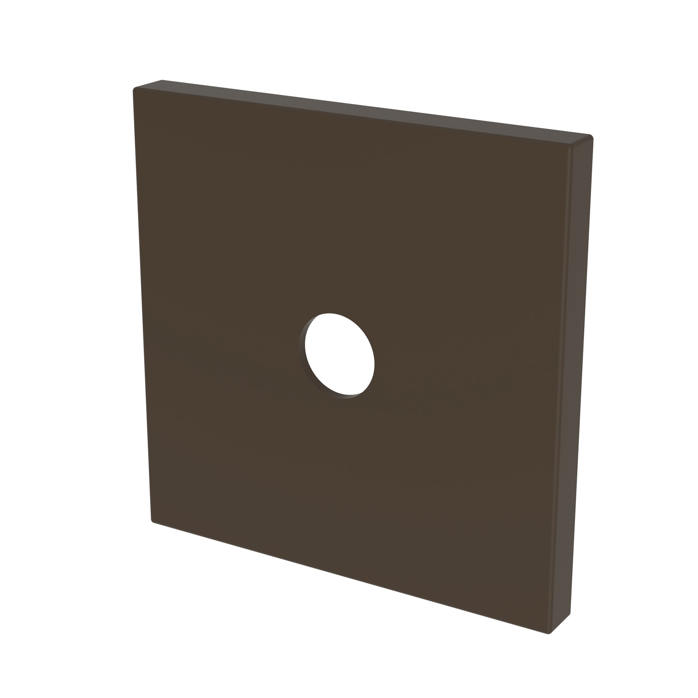 Newport Brass Tub & Shower Diverter Plate