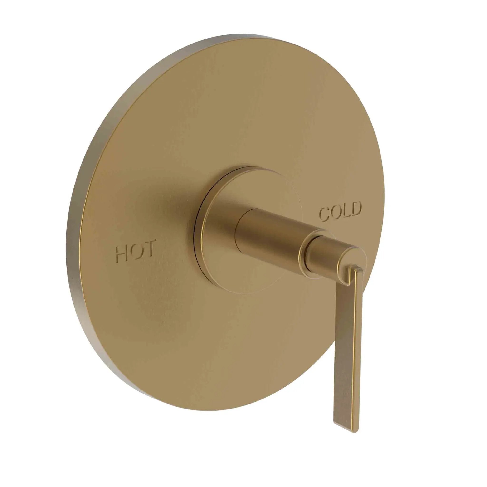 Newport Brass Tolmin Balanced Pressure Shower Trim Plate with Handle. Less showerhead, arm and flange. by Newport Brass