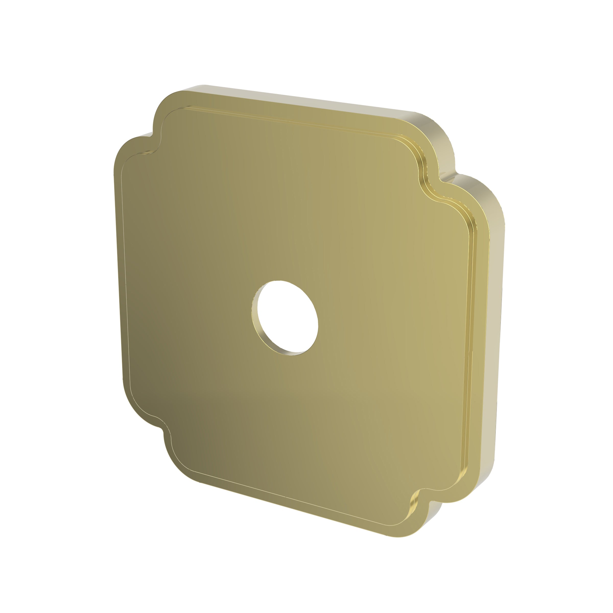 Newport Brass Tub & Shower Diverter Plate