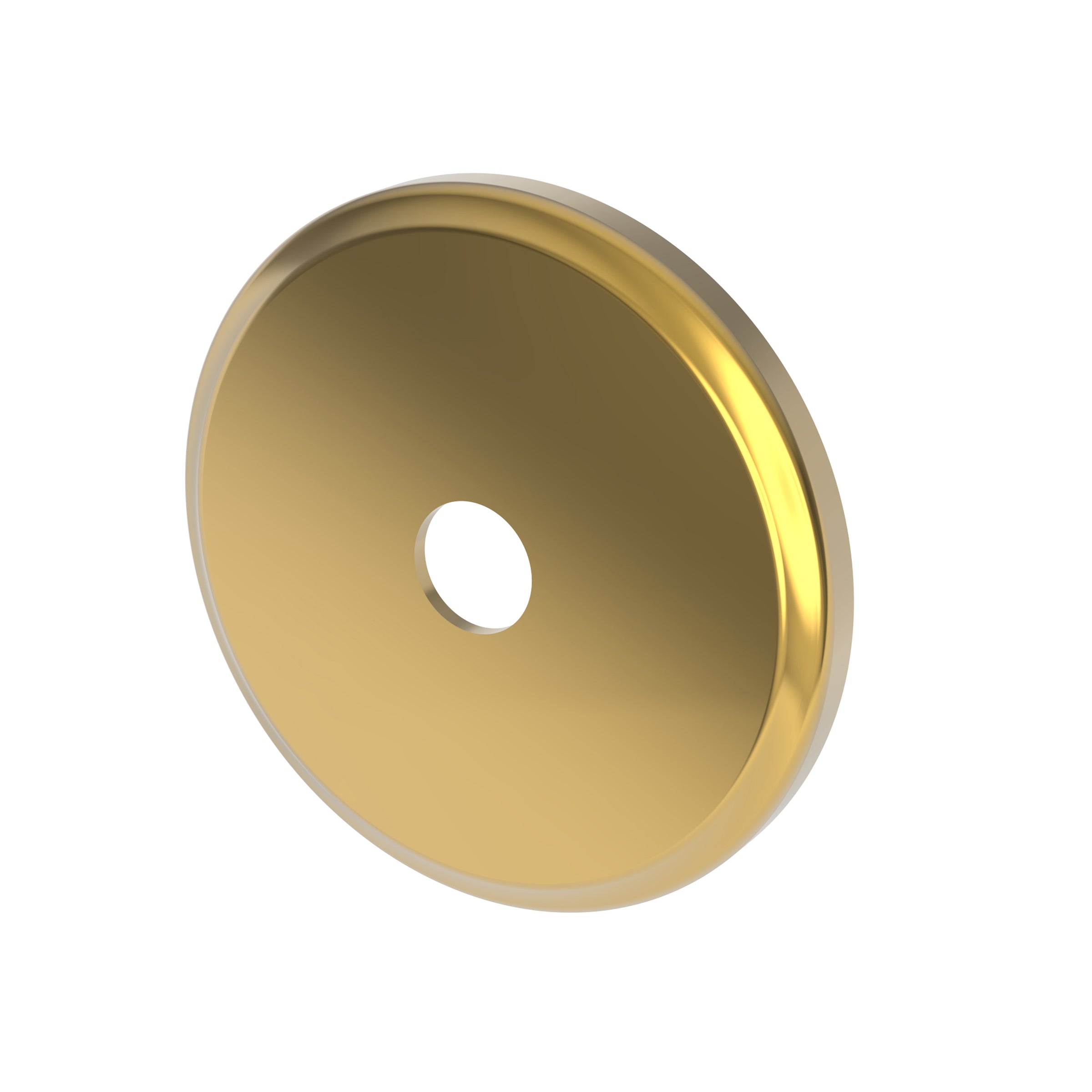 Newport Brass Tub & Shower Diverter Plate