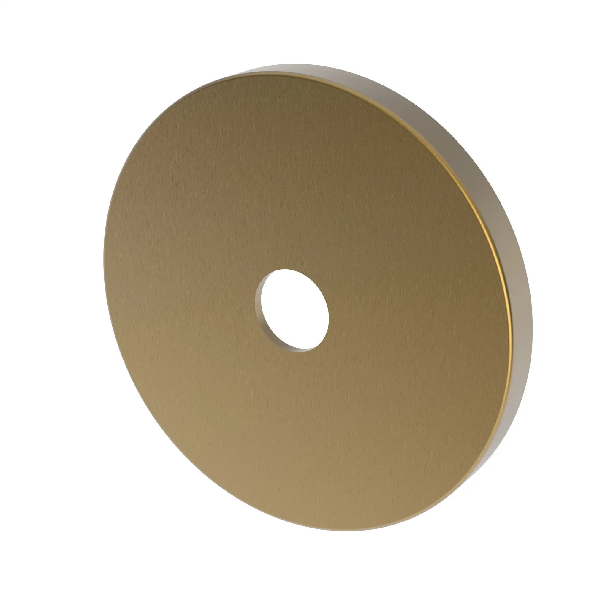 Newport Brass Tub & Shower Diverter Plate by Newport Brass