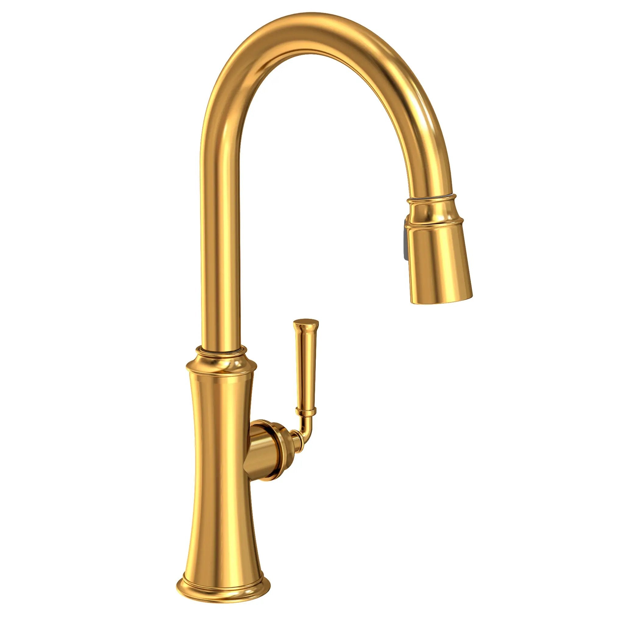 Newport Brass Stripling Pull-down Kitchen Faucet by Newport Brass