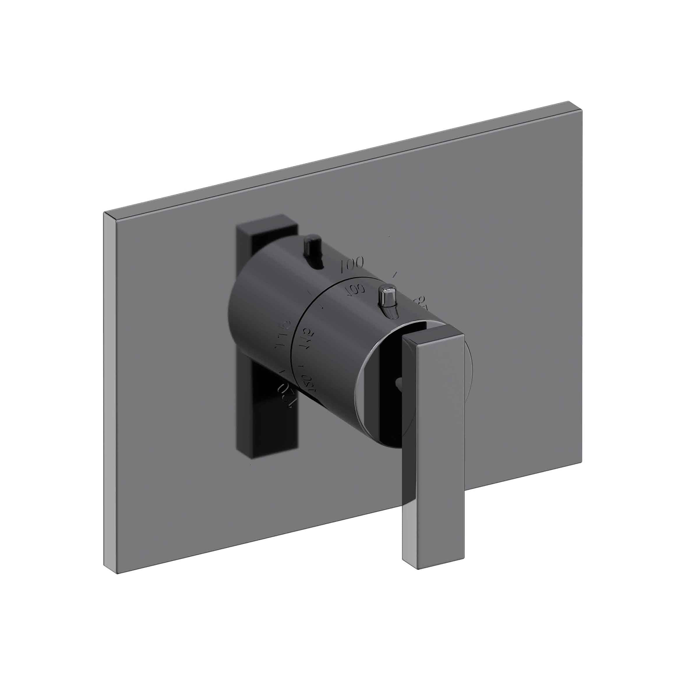 Newport Brass Secant 3/4" Rectangular Thermostatic Trim Plate with Handle