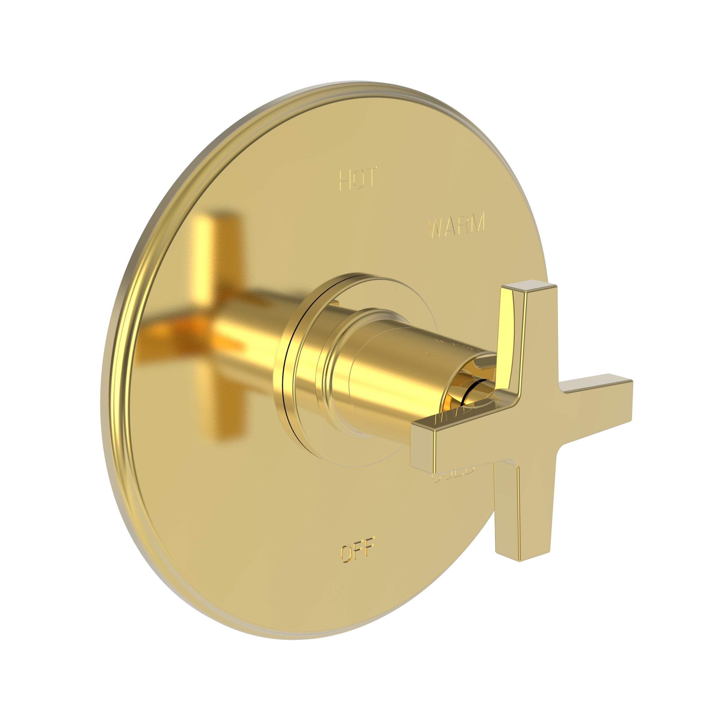 Newport Brass Dorrance Balanced Pressure Shower Trim Plate with Handle. Less showerhead, arm and flange.