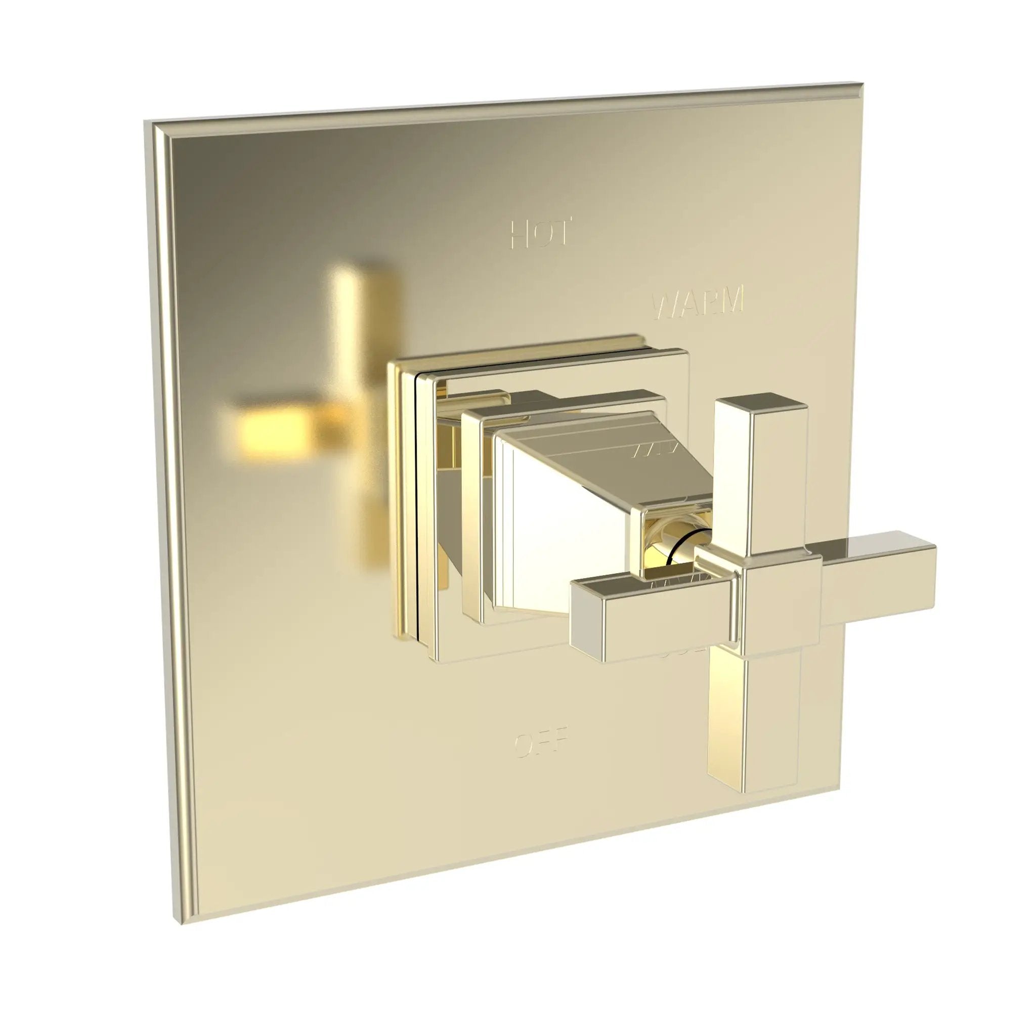 Newport Brass Malvina Balanced Pressure Shower Trim Plate with Handle. Less showerhead, arm and flange. by Newport Brass