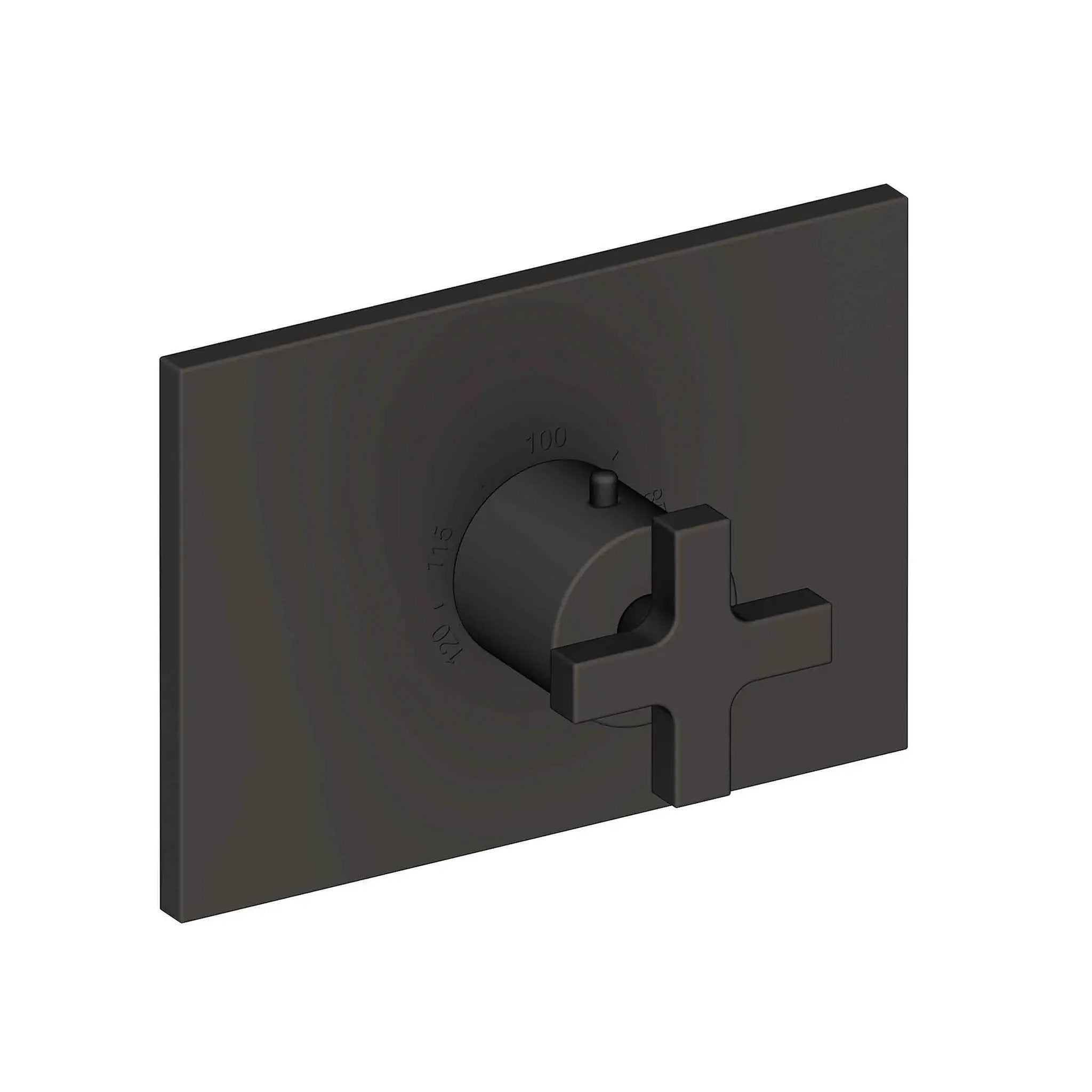 Newport Brass Secant 3/4" Rectangular Thermostatic Trim Plate with Handle by Newport Brass