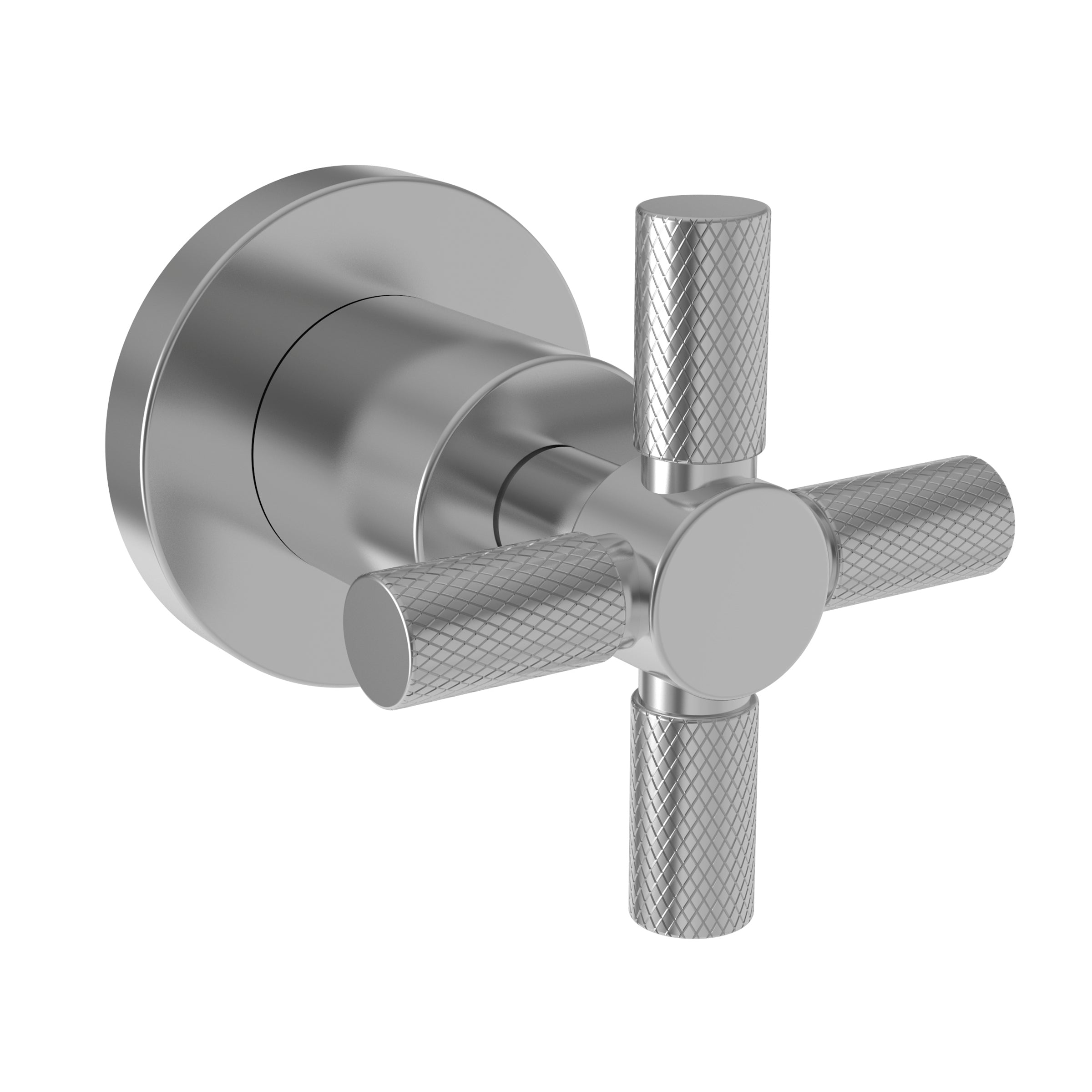 polished chrome control handle