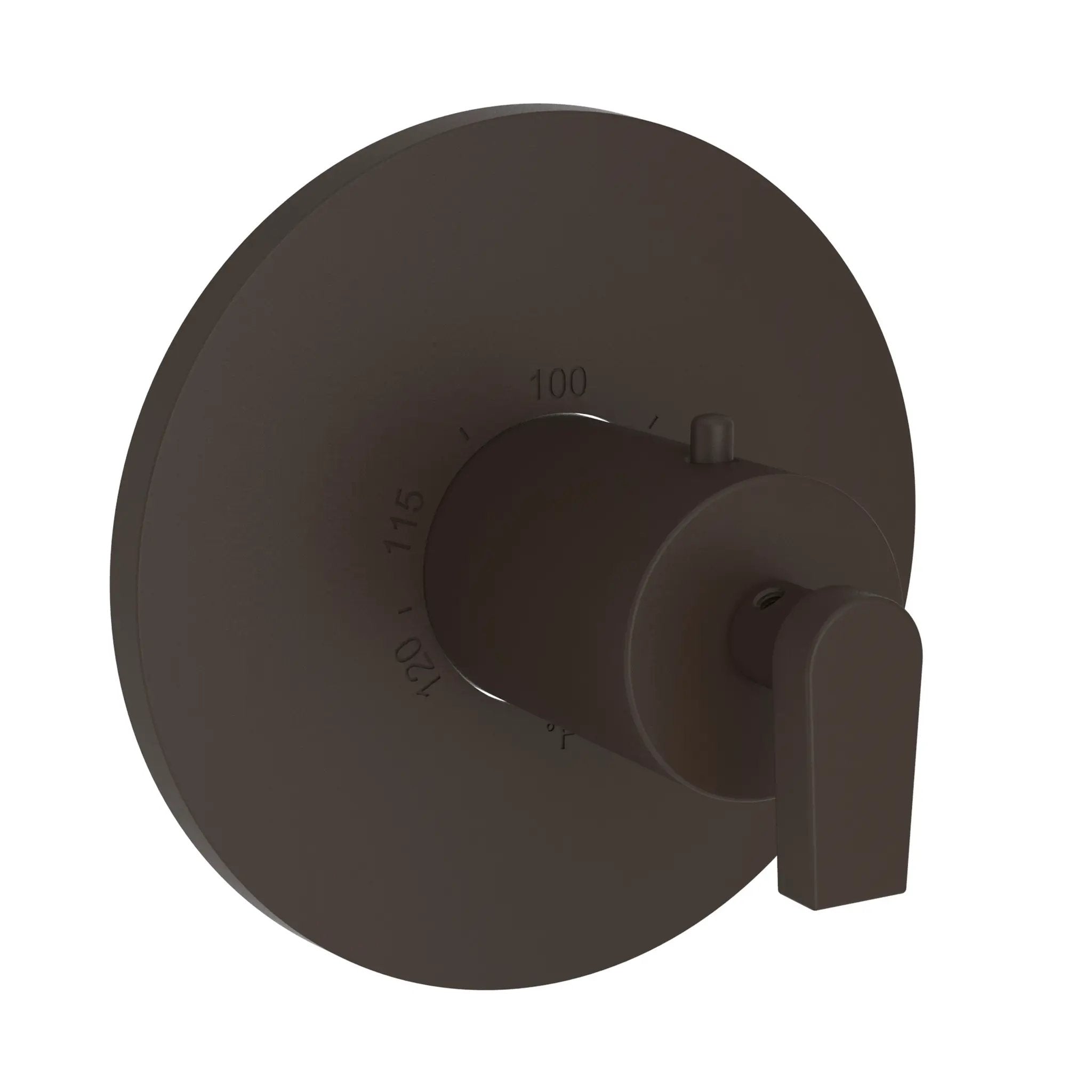 Newport Brass Dorrance 3/4" Round Thermostatic Trim Plate with Handle by Newport Brass