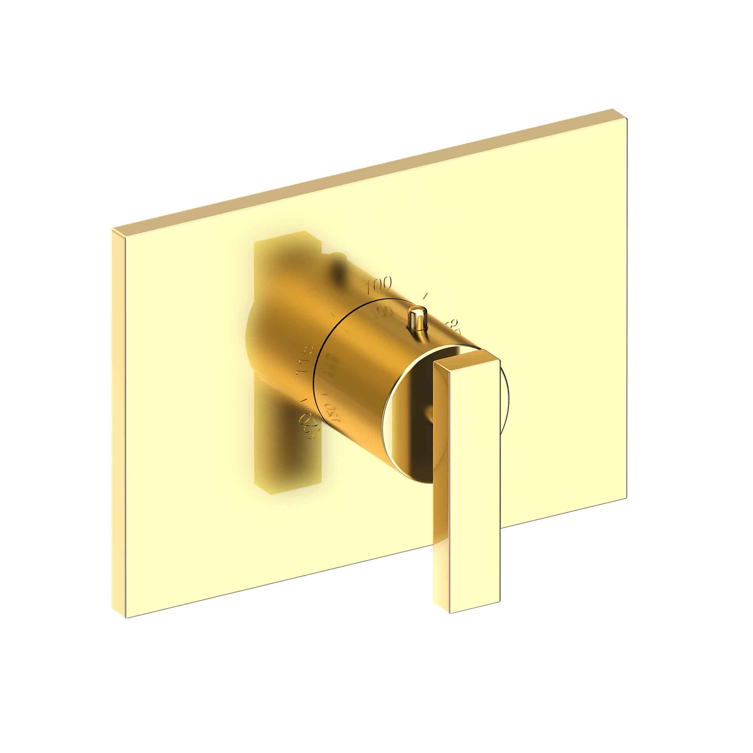Newport Brass Secant 3/4" Rectangular Thermostatic Trim Plate with Handle