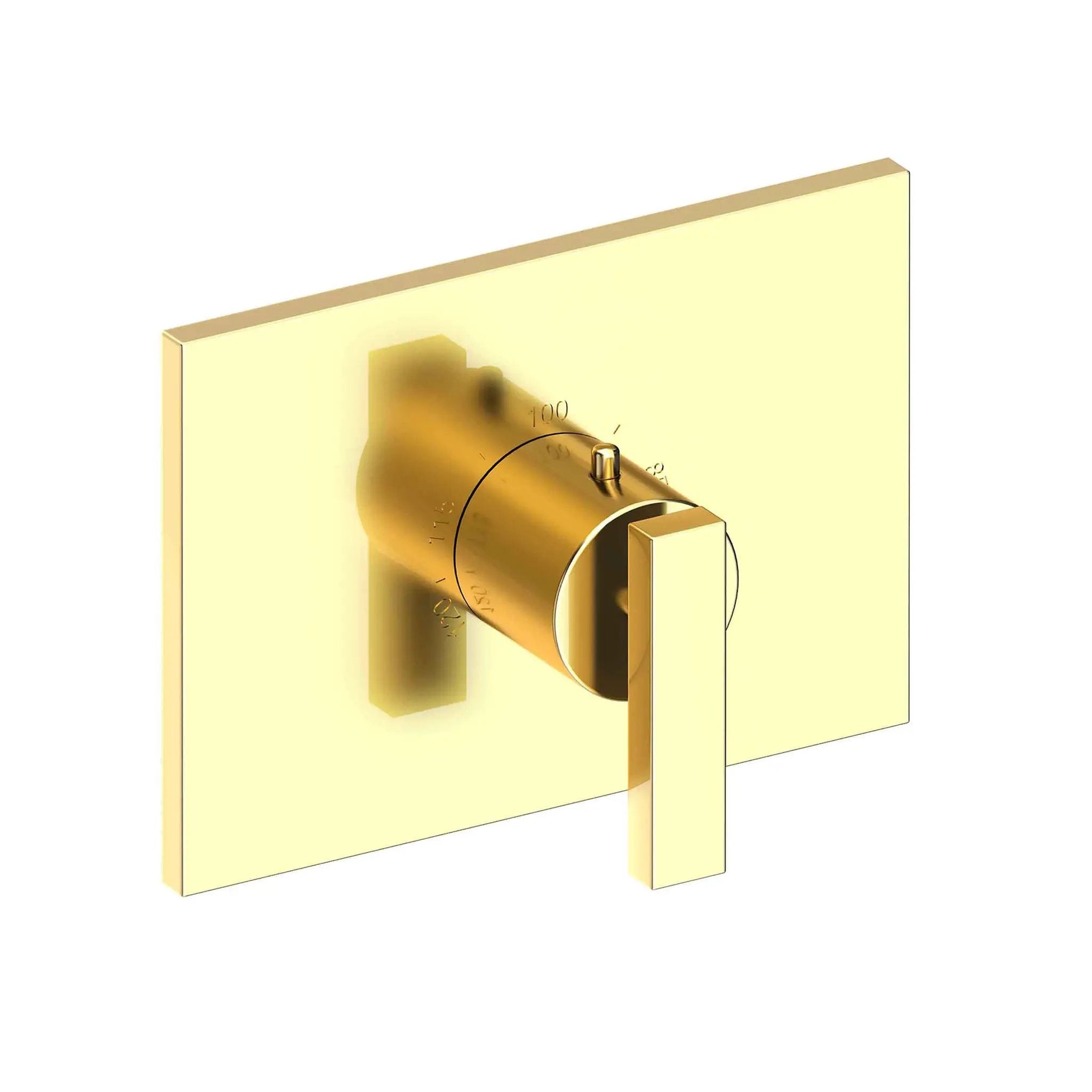 Newport Brass Secant 3/4" Rectangular Thermostatic Trim Plate with Handle by Newport Brass