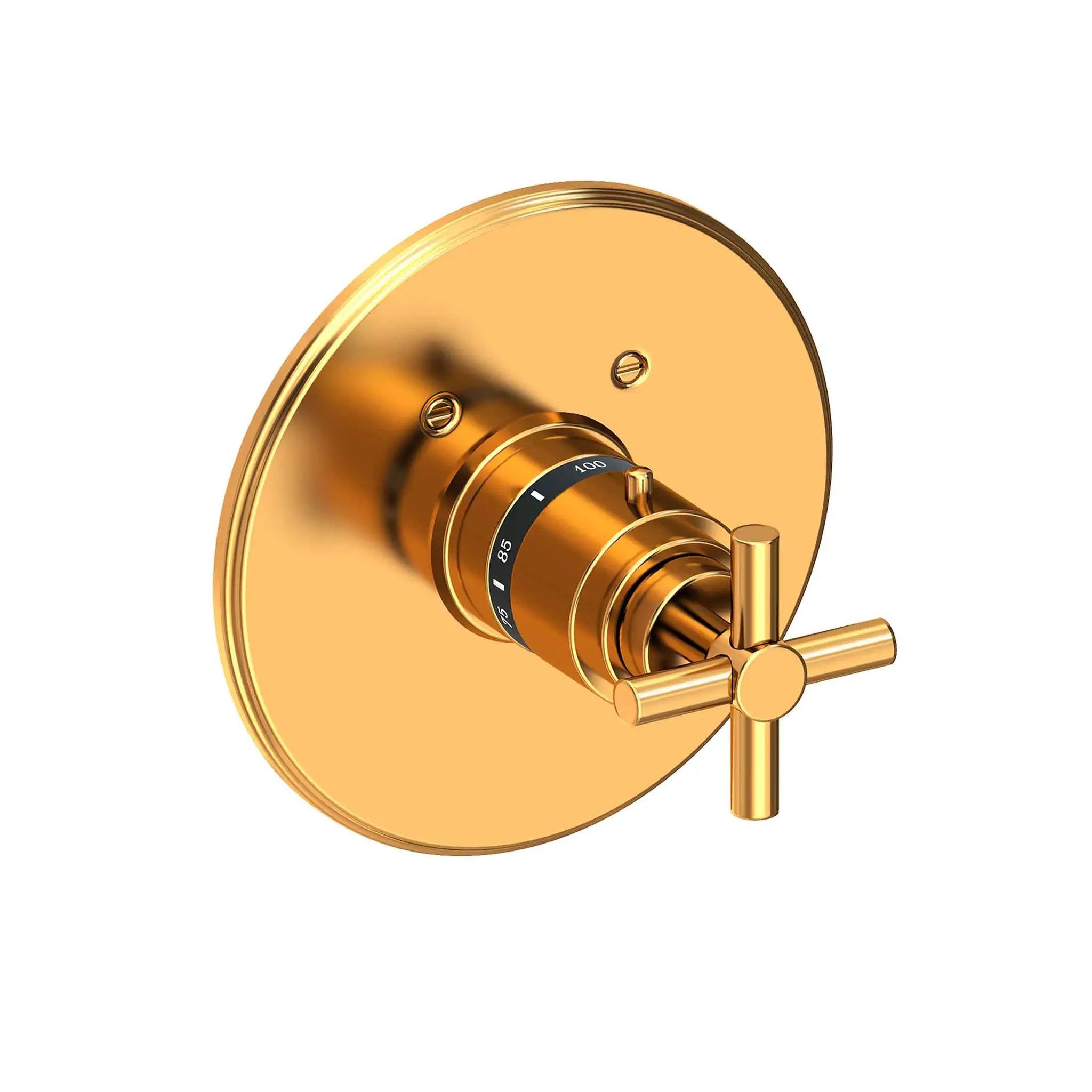 Newport Brass East Linear 3/4" Round Thermostatic Trim Plate with Handle by Newport Brass