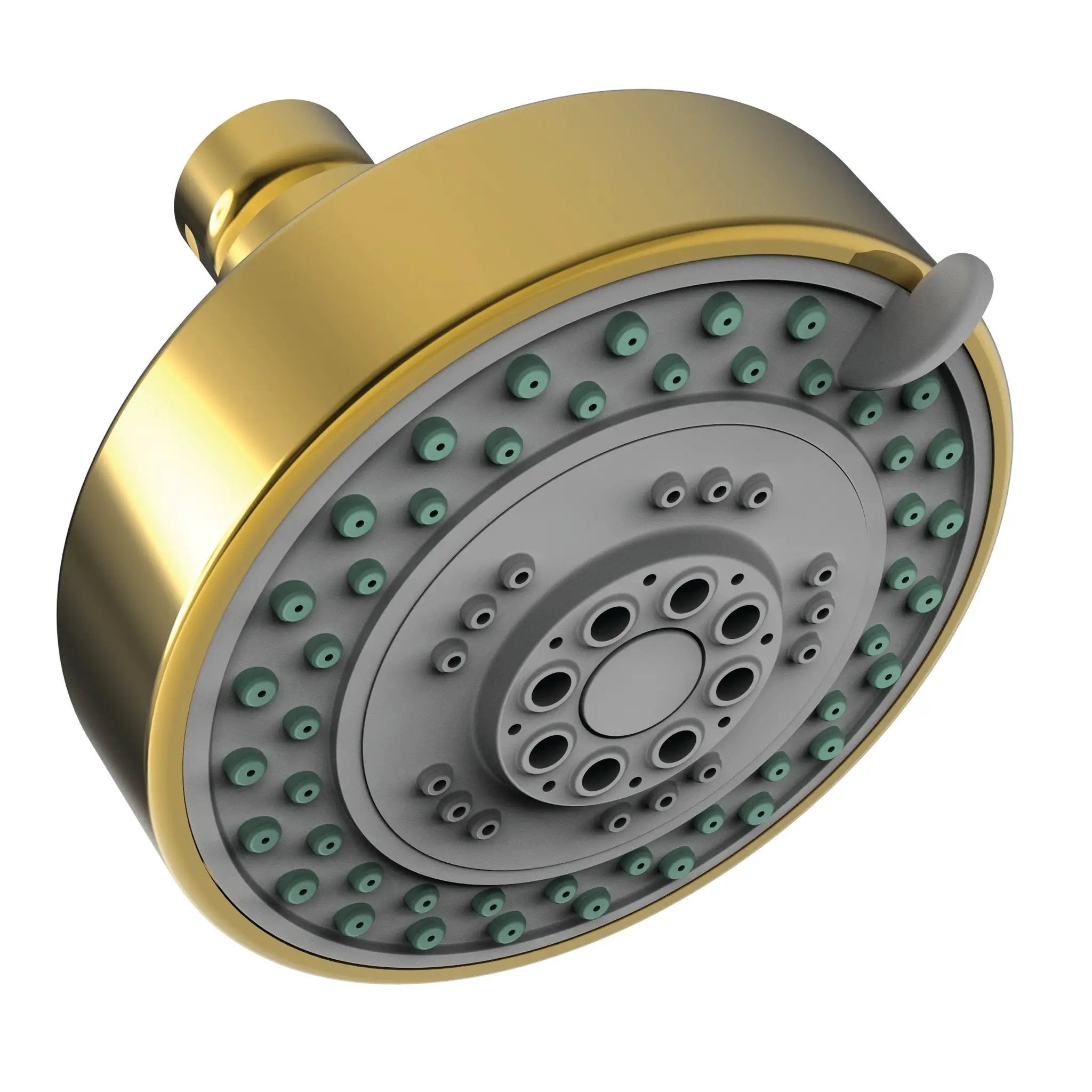 Newport Brass Tub & Shower Multifunction Showerhead by Newport Brass