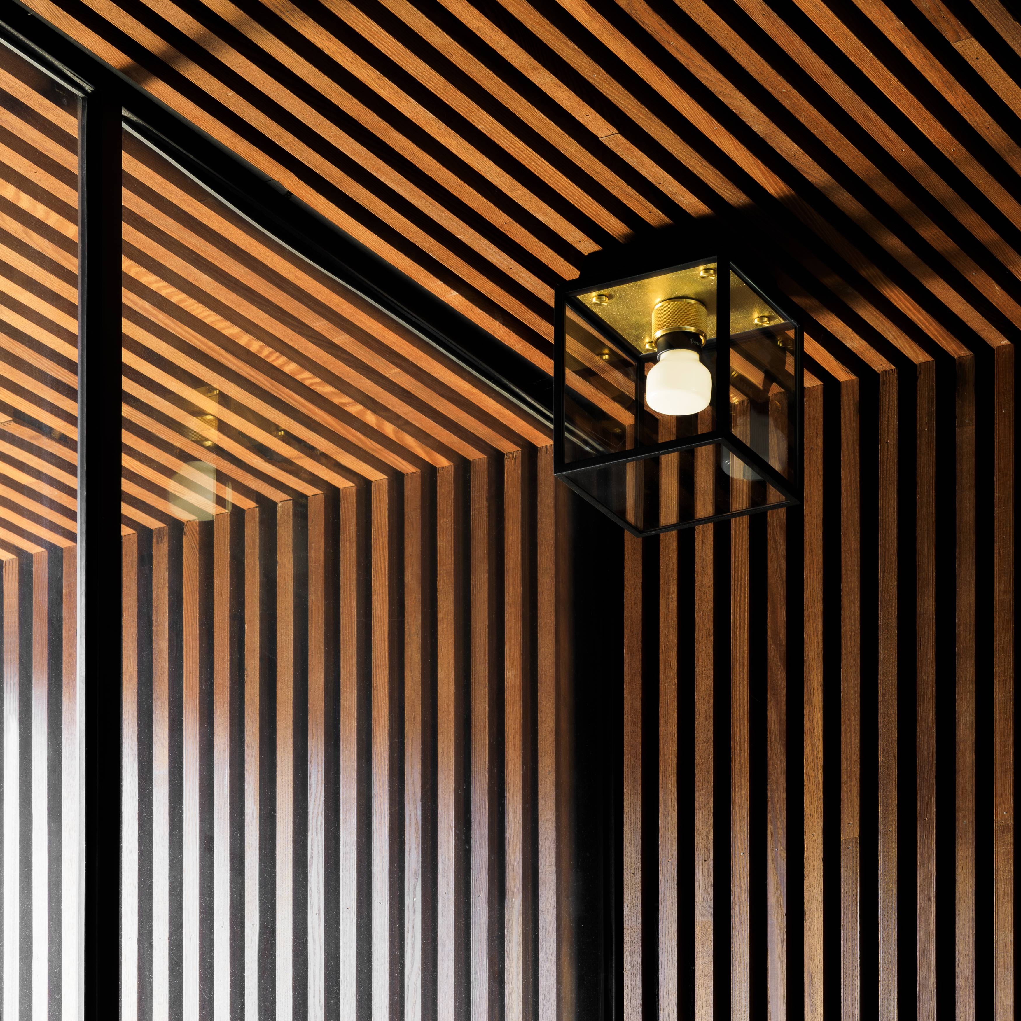 Black/Brass Ceiling Light