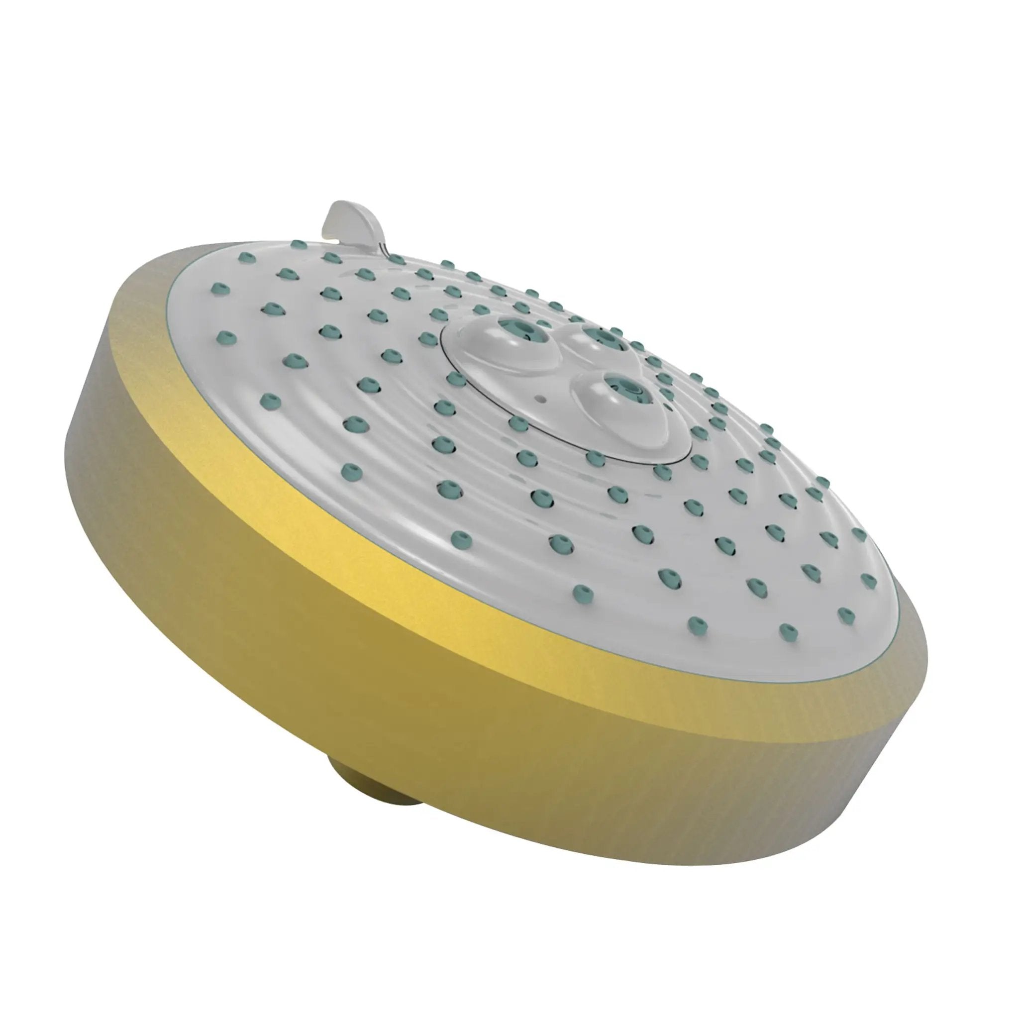 Newport Brass Tub & Shower Multifunction Showerhead by Newport Brass
