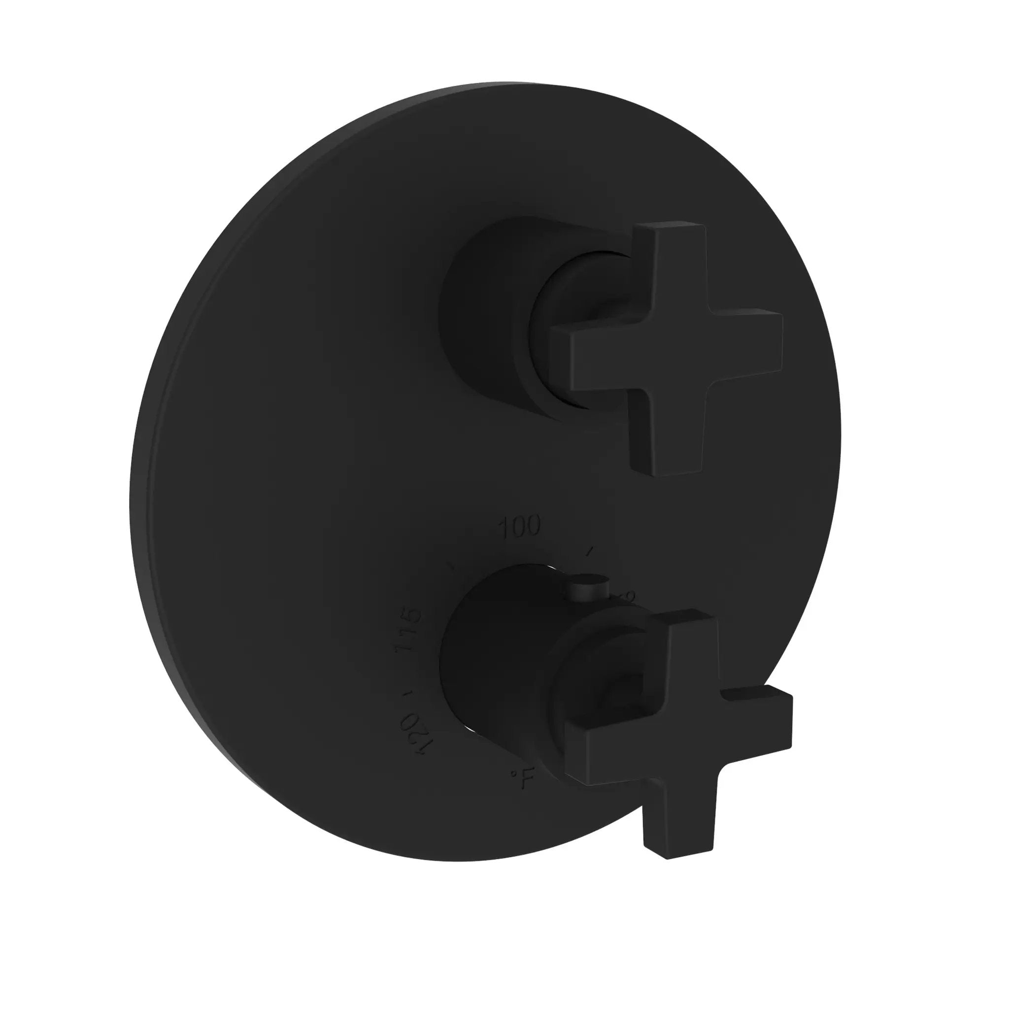 Newport Brass Dorrance 1/2" Round Thermostatic Trim Plate with Handle by Newport Brass