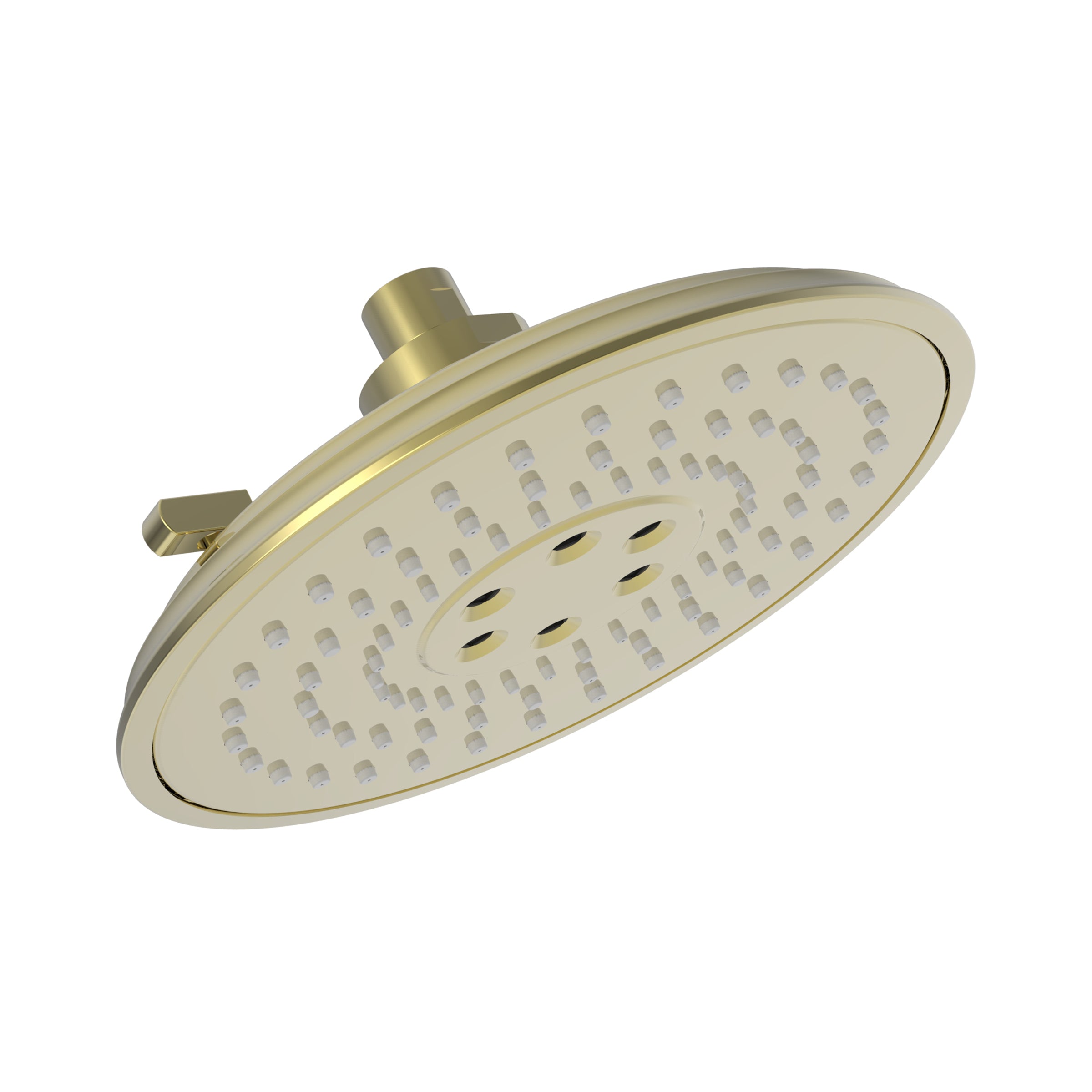 Newport Brass Tub & Shower Luxnetic Multifunction Showerhead