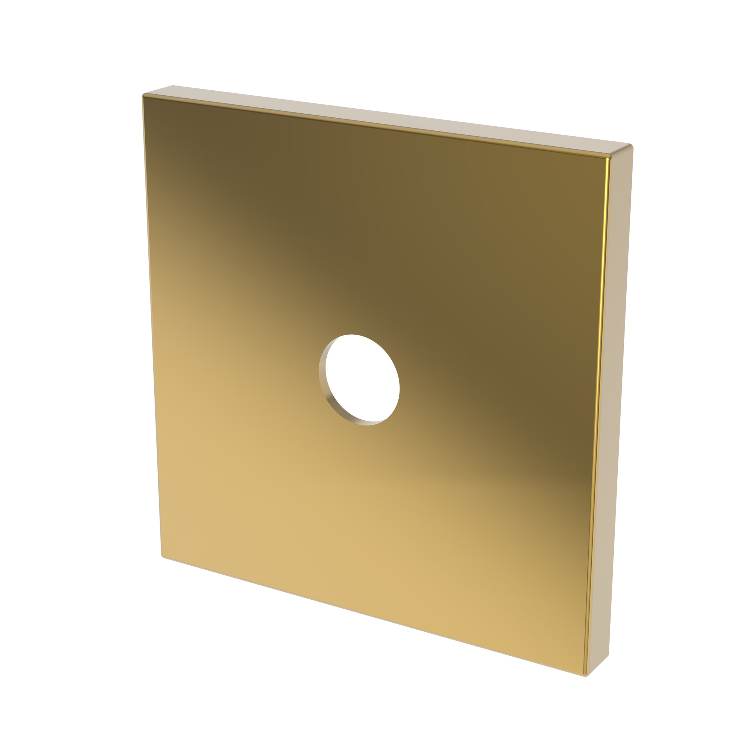 Newport Brass Tub & Shower Diverter Plate