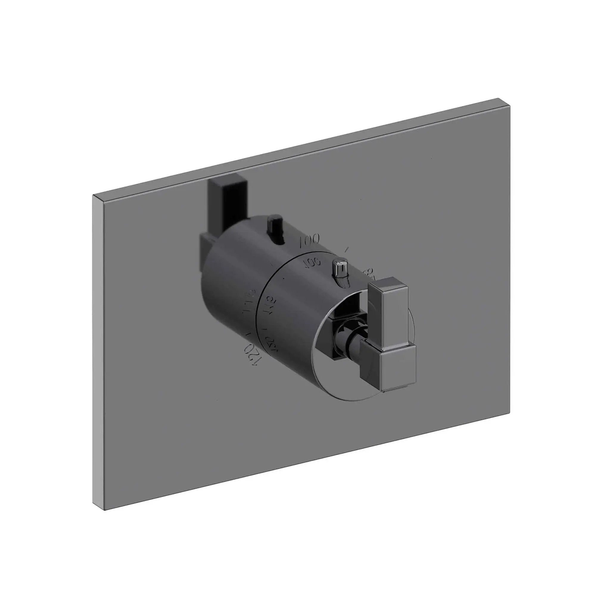 Newport Brass Malvina 3/4" Square Thermostatic Trim Plate with Handle by Newport Brass