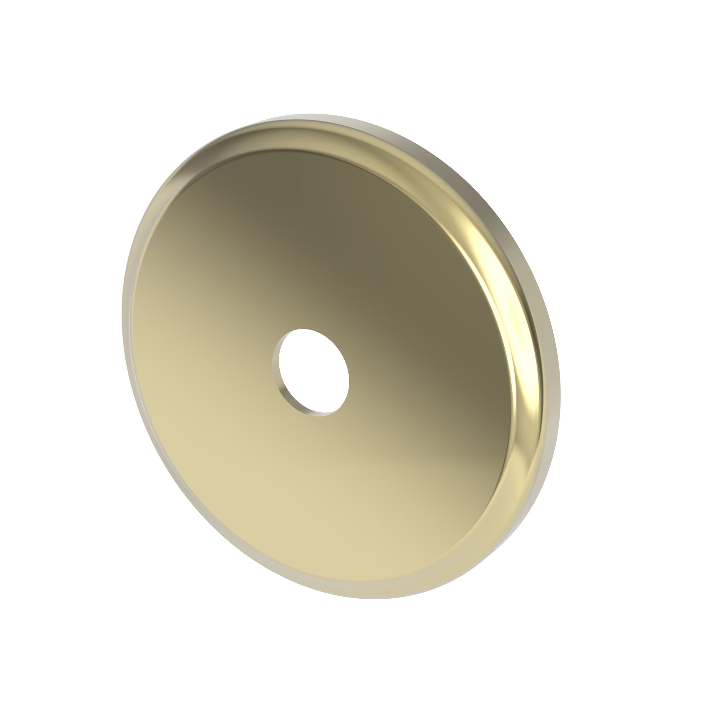 Newport Brass Tub & Shower Diverter Plate