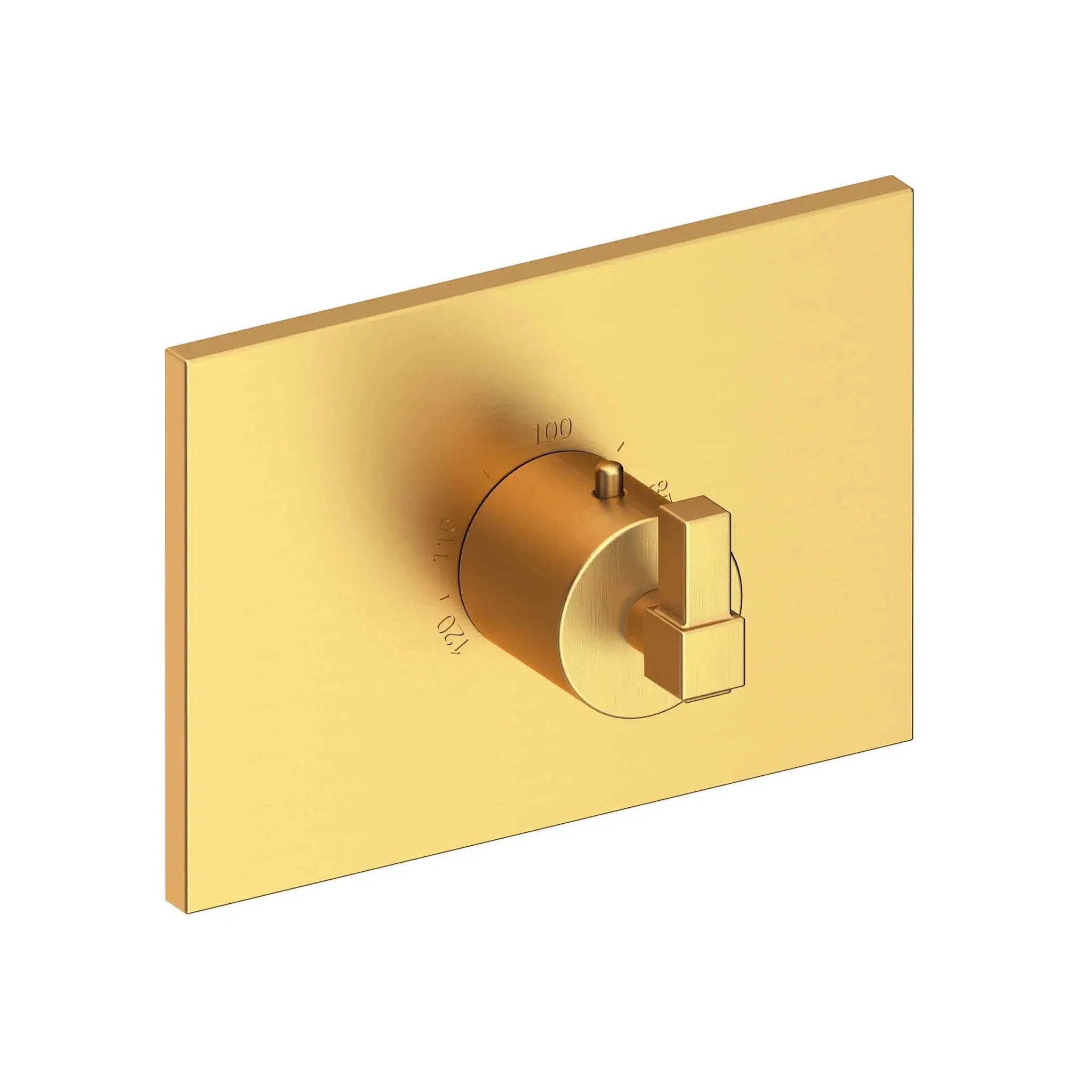 Newport Brass Malvina 3/4" Square Thermostatic Trim Plate with Handle by Newport Brass