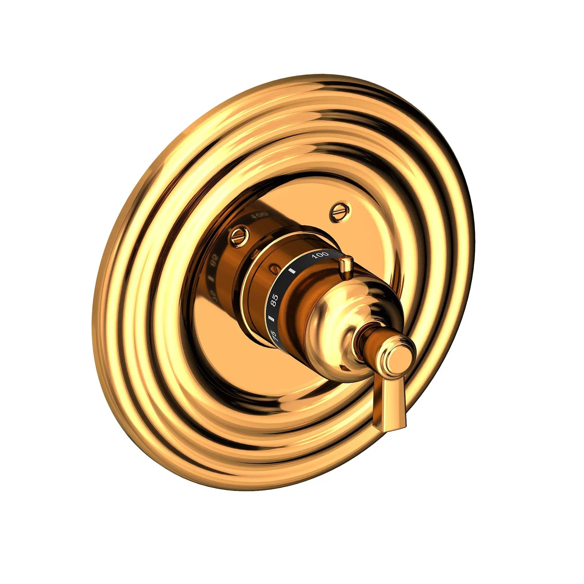 Newport Brass Astor 3/4" Round Thermostatic Trim Plate with Handle by Newport Brass