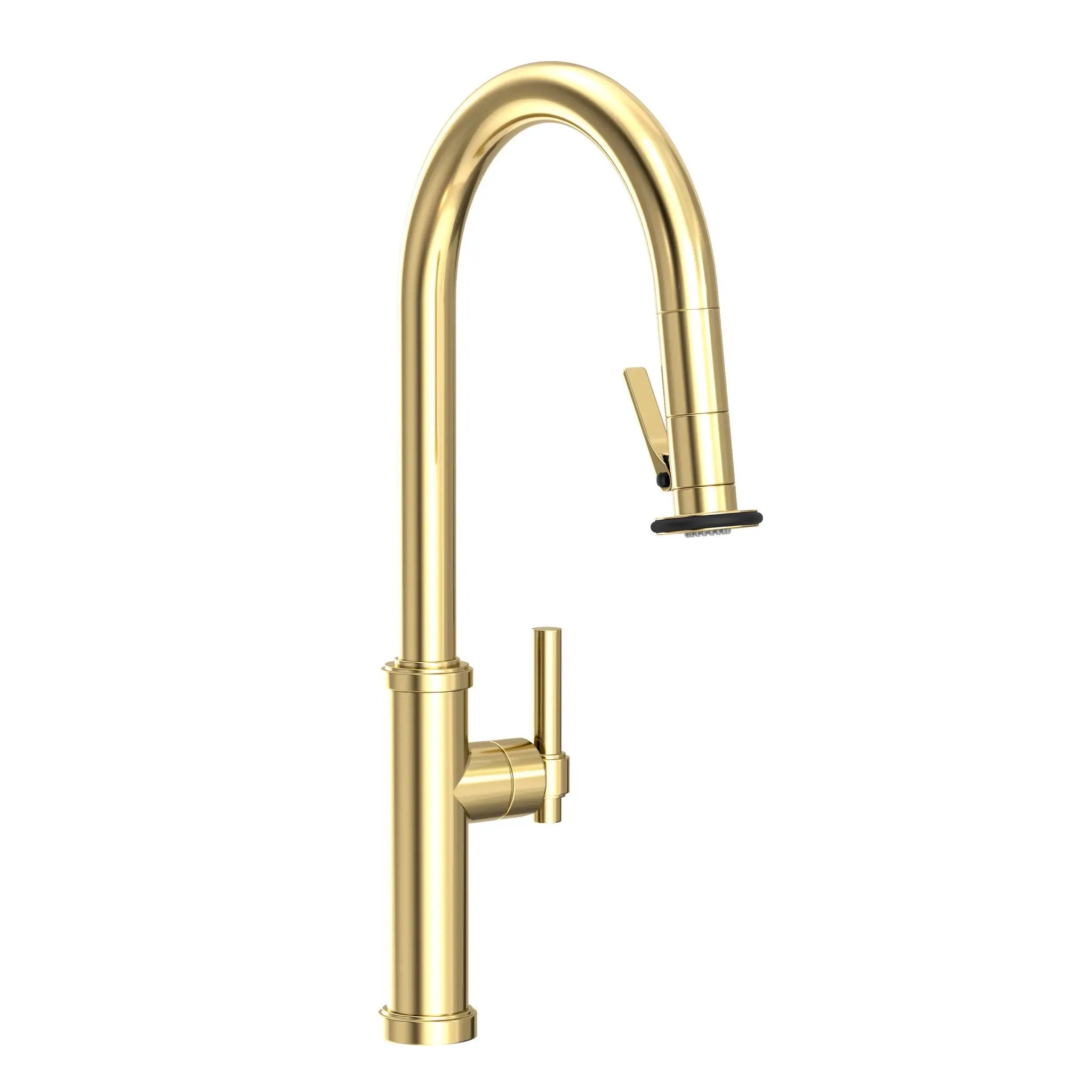 Newport Brass Seager Pull-Down Kitchen Faucet with Lever Controled Spray by Newport Brass