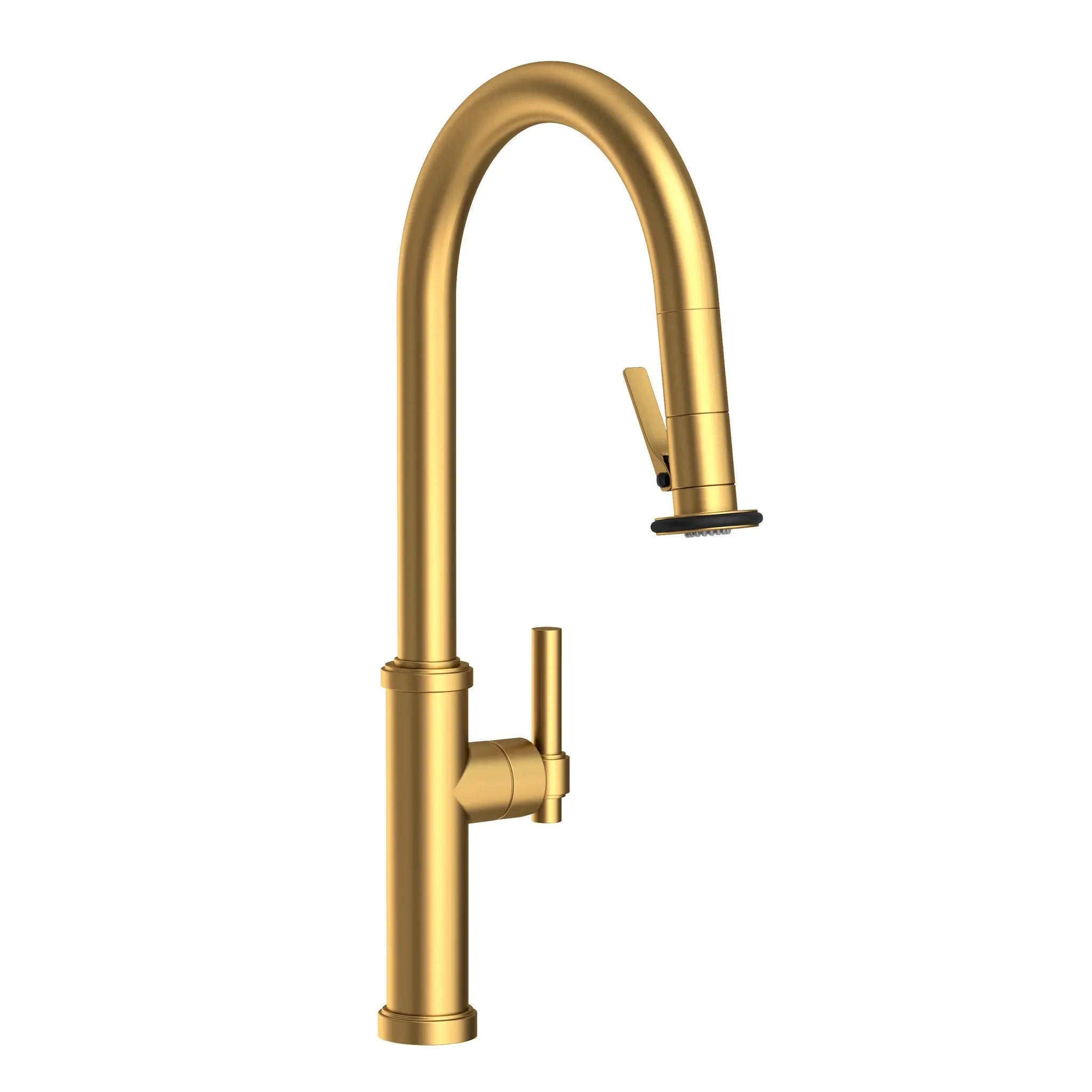 Newport Brass Seager Pull-Down Kitchen Faucet with Lever Controled Spray by Newport Brass