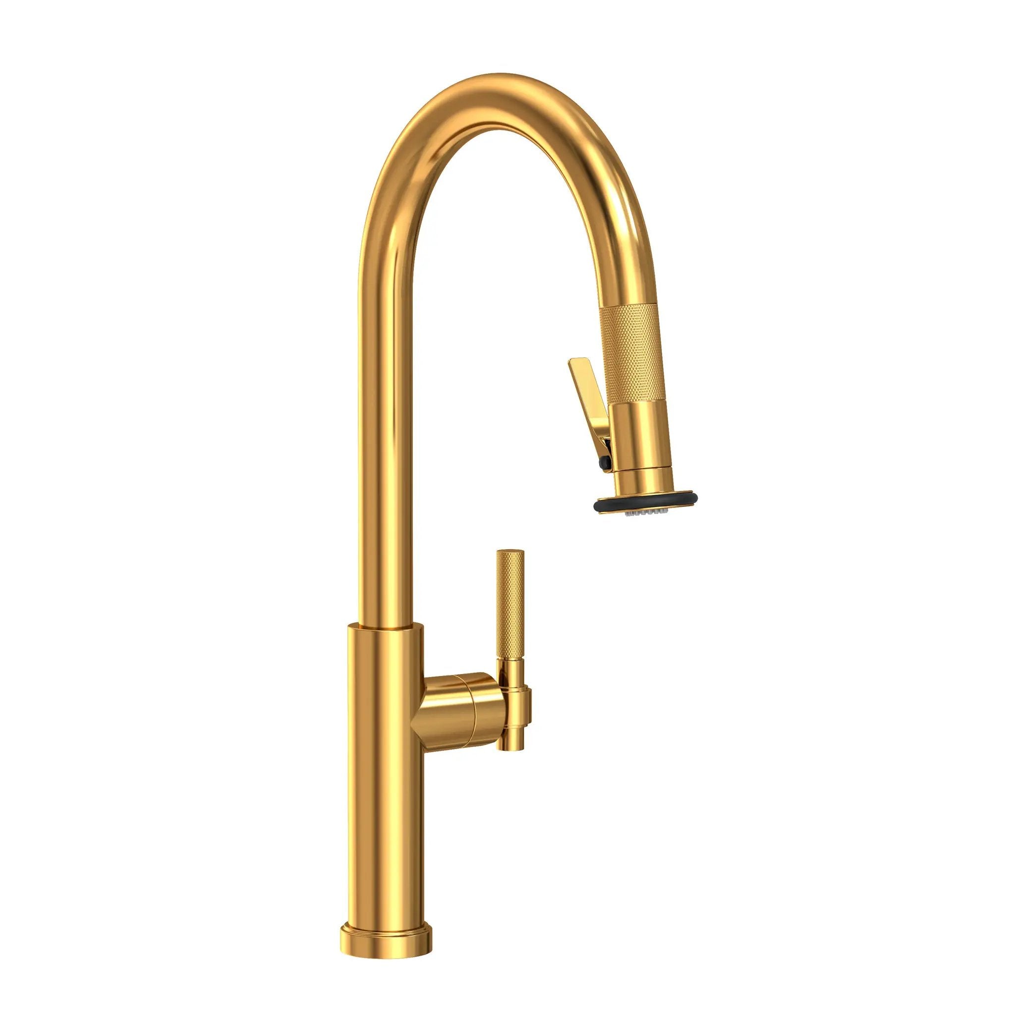 Newport Brass Muncy Pull-Down Kitchen Faucet with Lever Controled Spray by Newport Brass