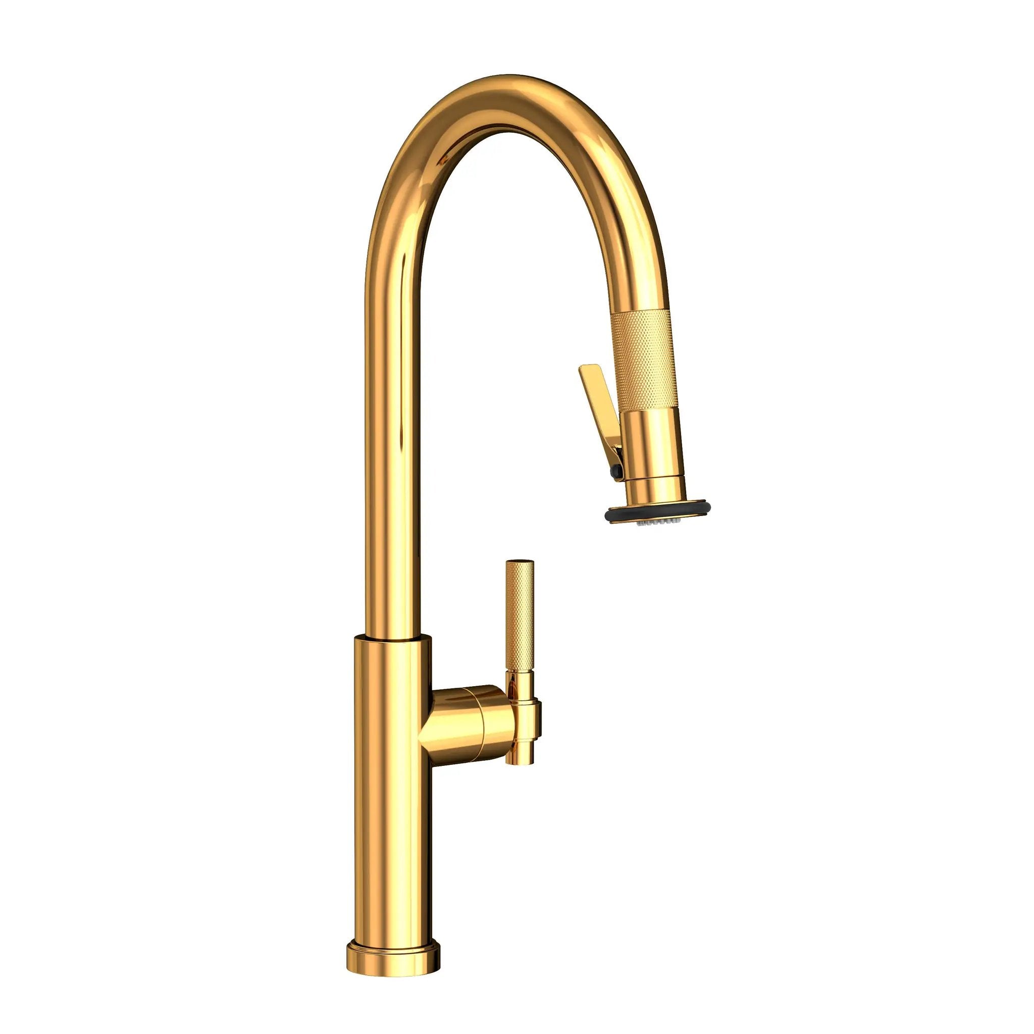 Newport Brass Muncy Pull-Down Kitchen Faucet with Lever Controled Spray by Newport Brass