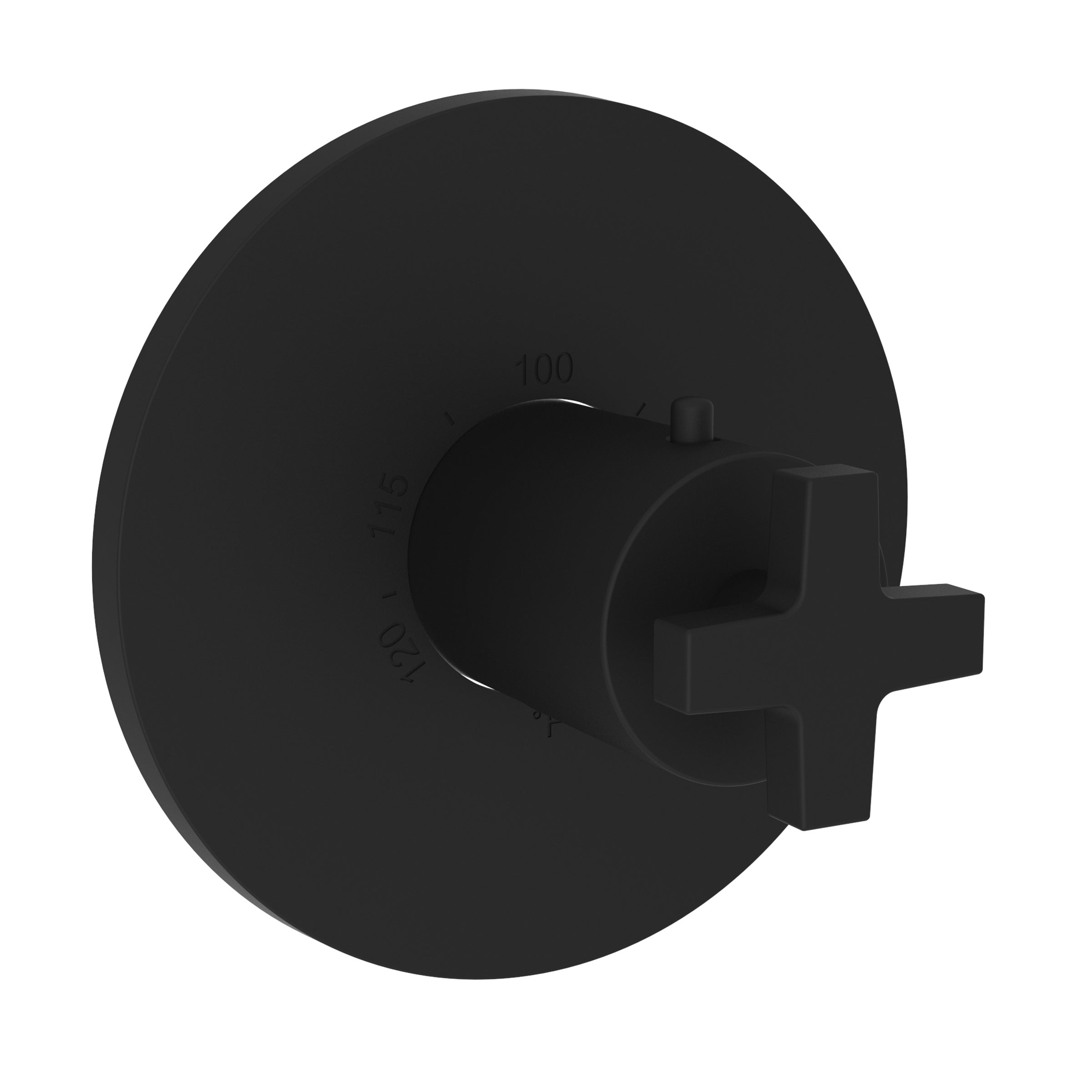 Newport Brass Dorrance 3/4" Round Thermostatic Trim Plate with Handle