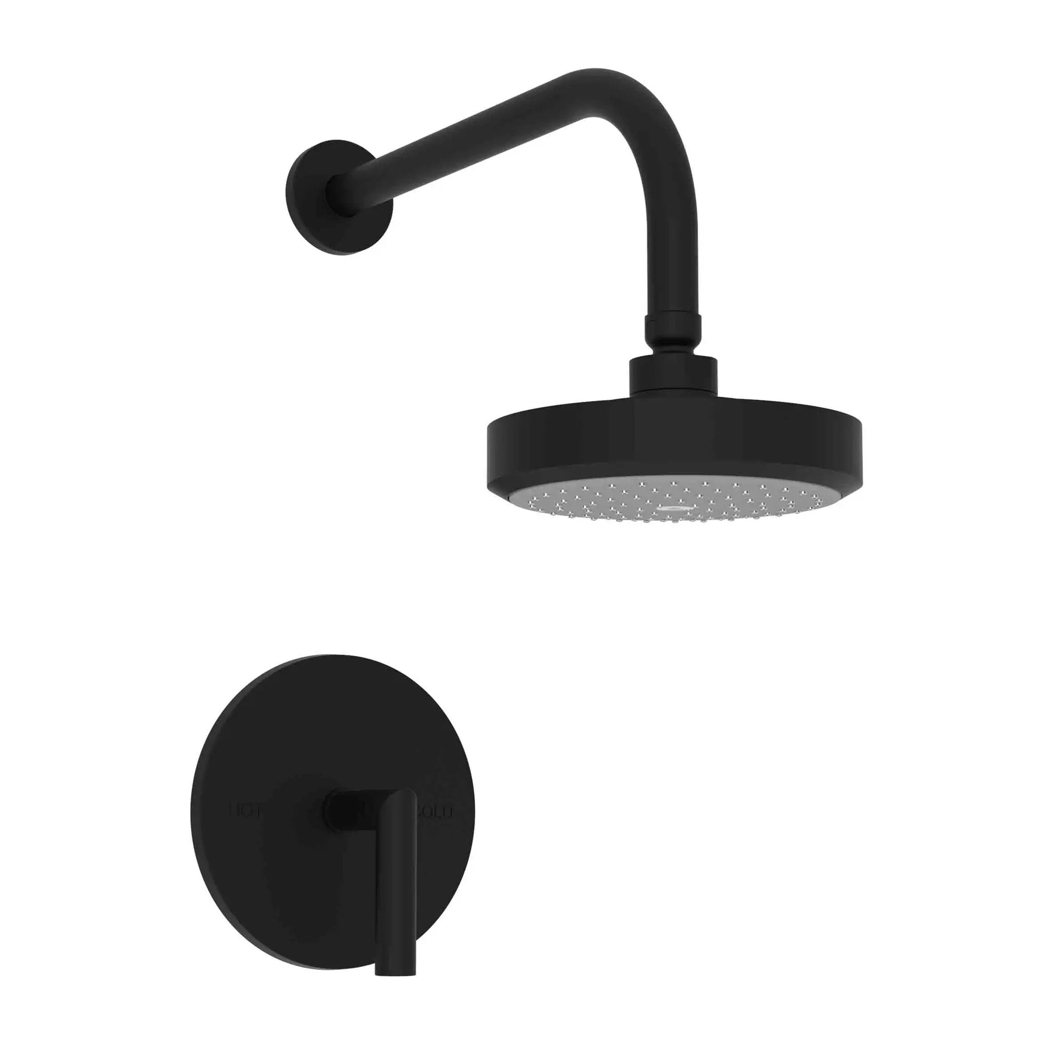 Newport Brass Pavani Balanced Pressure Shower Trim Set by Newport Brass