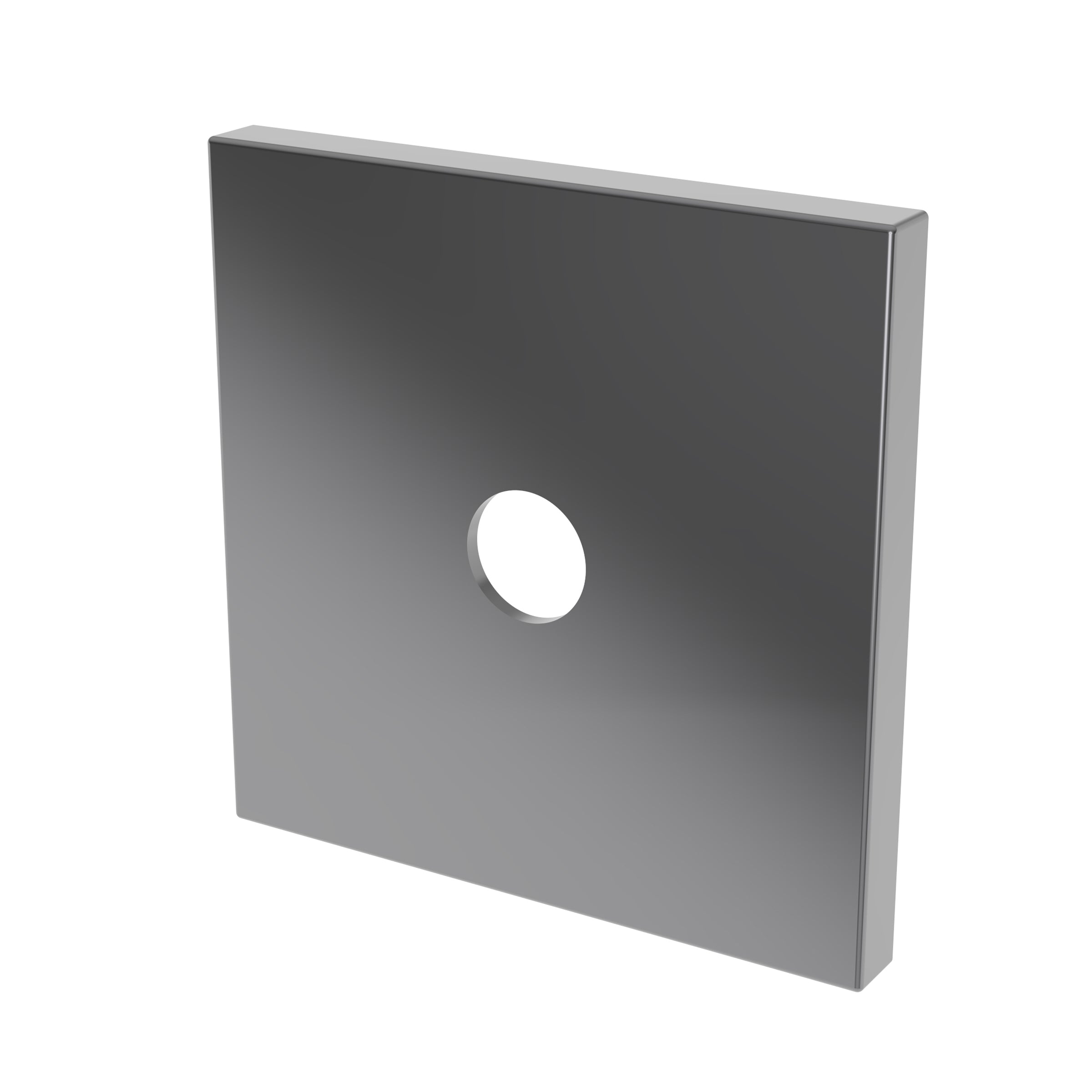 Newport Brass Tub & Shower Diverter Plate