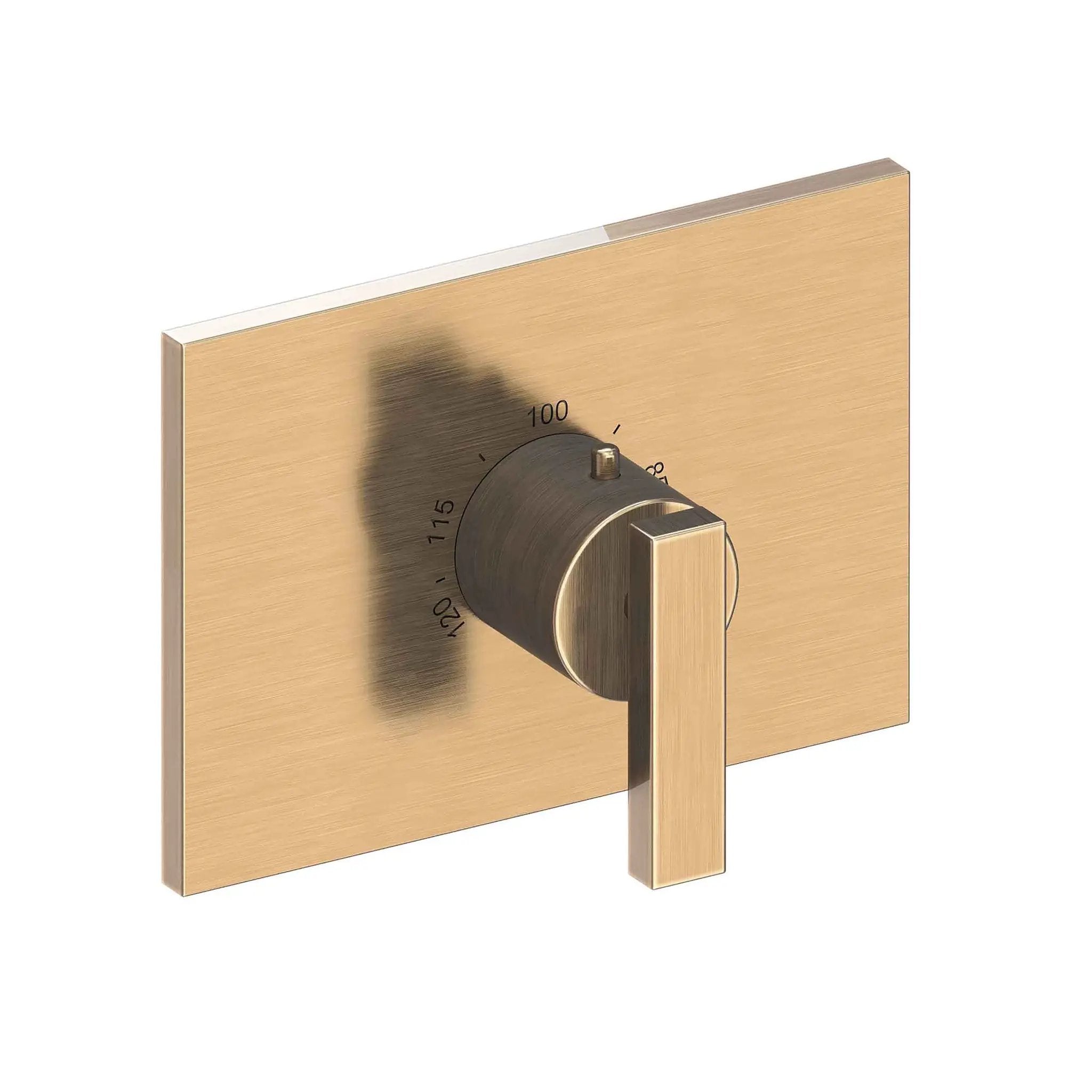 Newport Brass Secant 3/4" Rectangular Thermostatic Trim Plate with Handle by Newport Brass