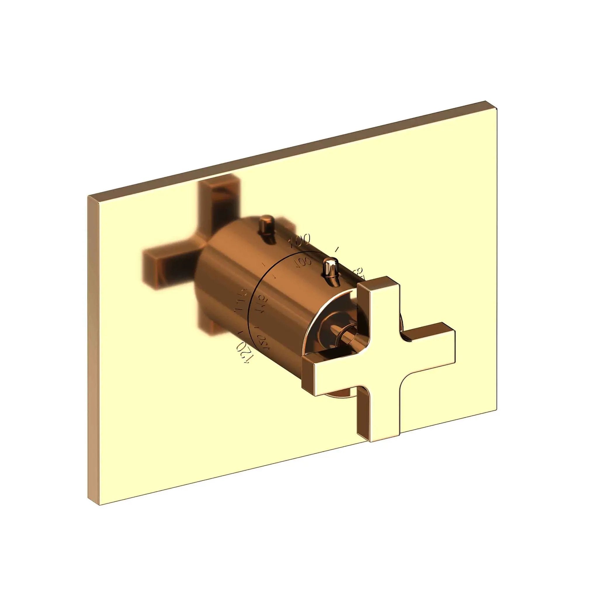 Newport Brass Secant 3/4" Rectangular Thermostatic Trim Plate with Handle by Newport Brass