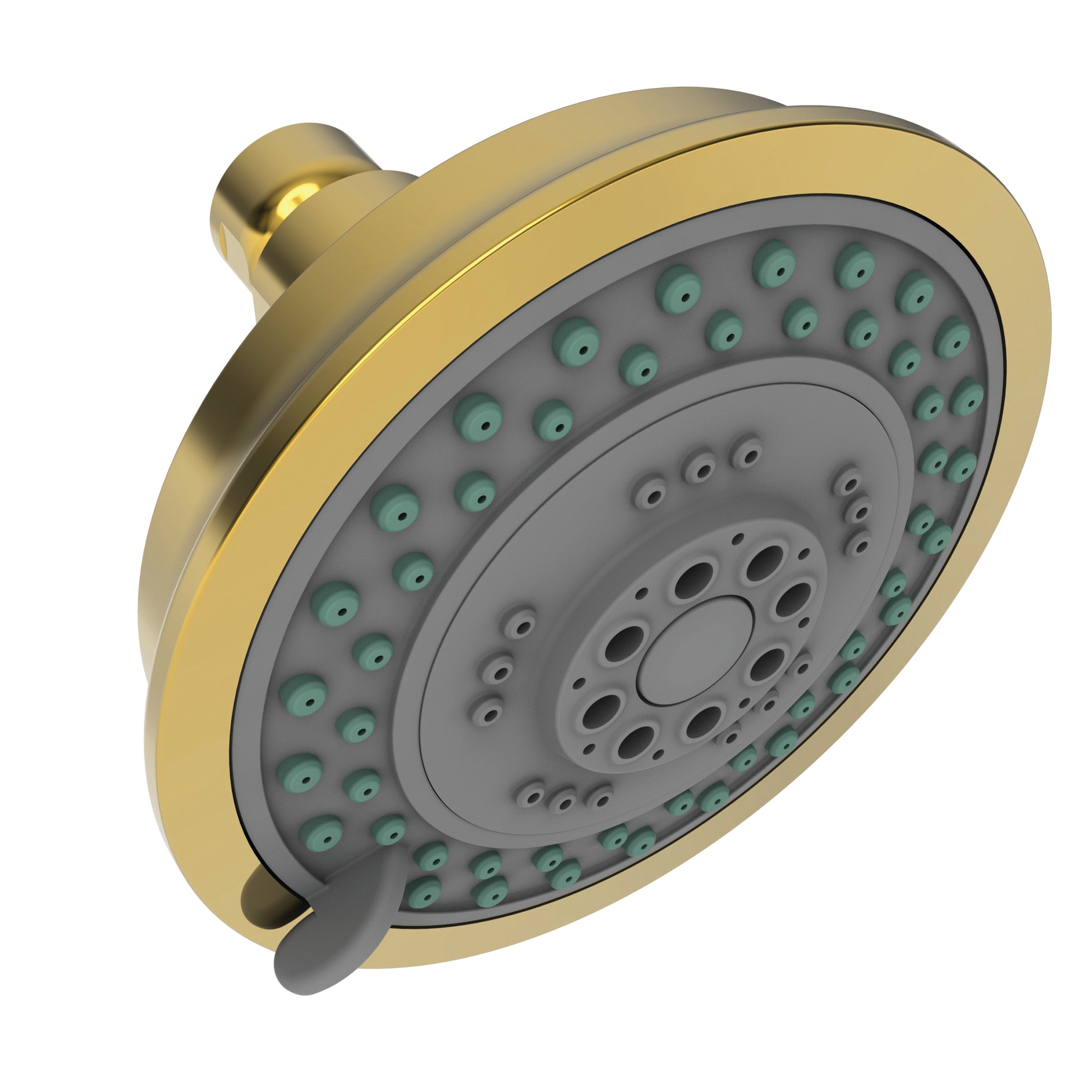 Newport Brass Tub & Shower Multifunction Showerhead
