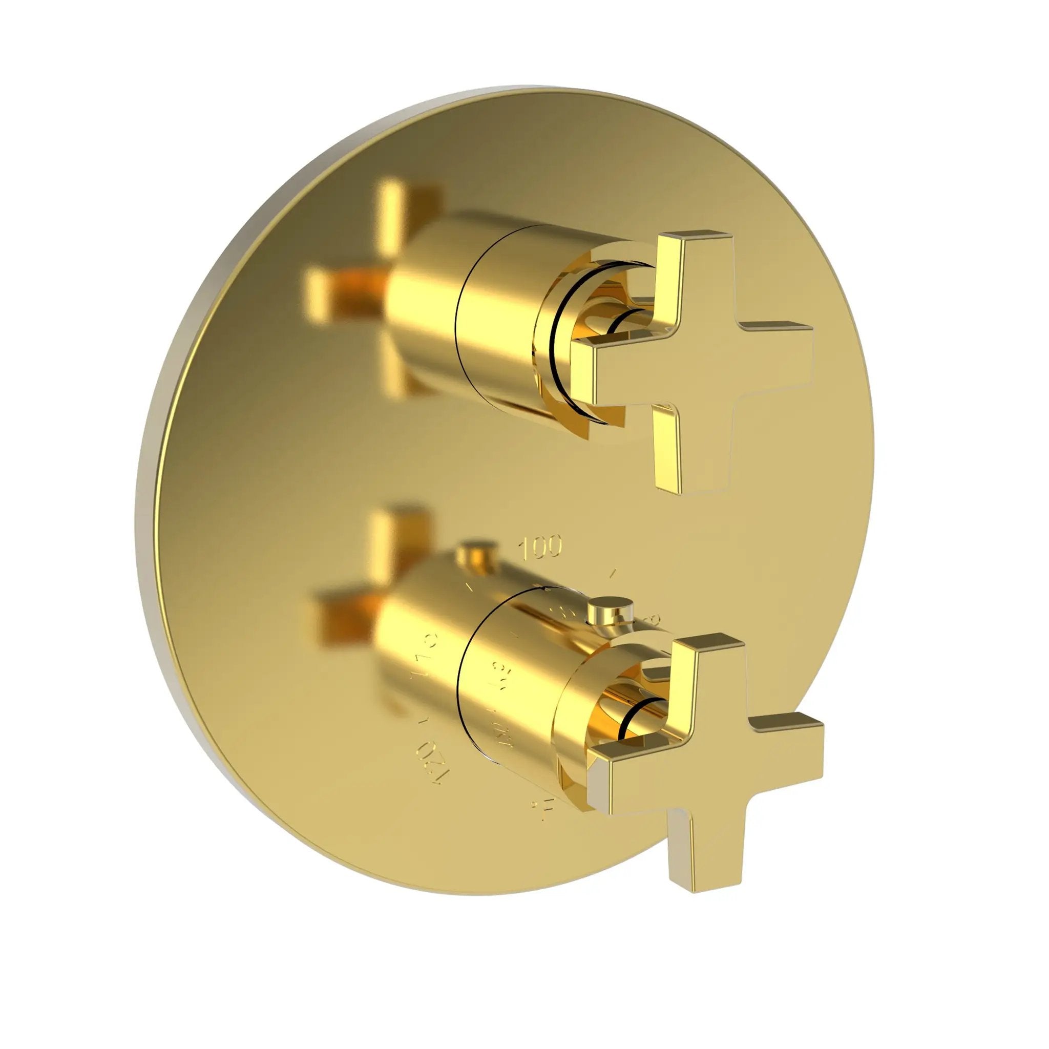 Newport Brass Dorrance 1/2" Round Thermostatic Trim Plate with Handle by Newport Brass