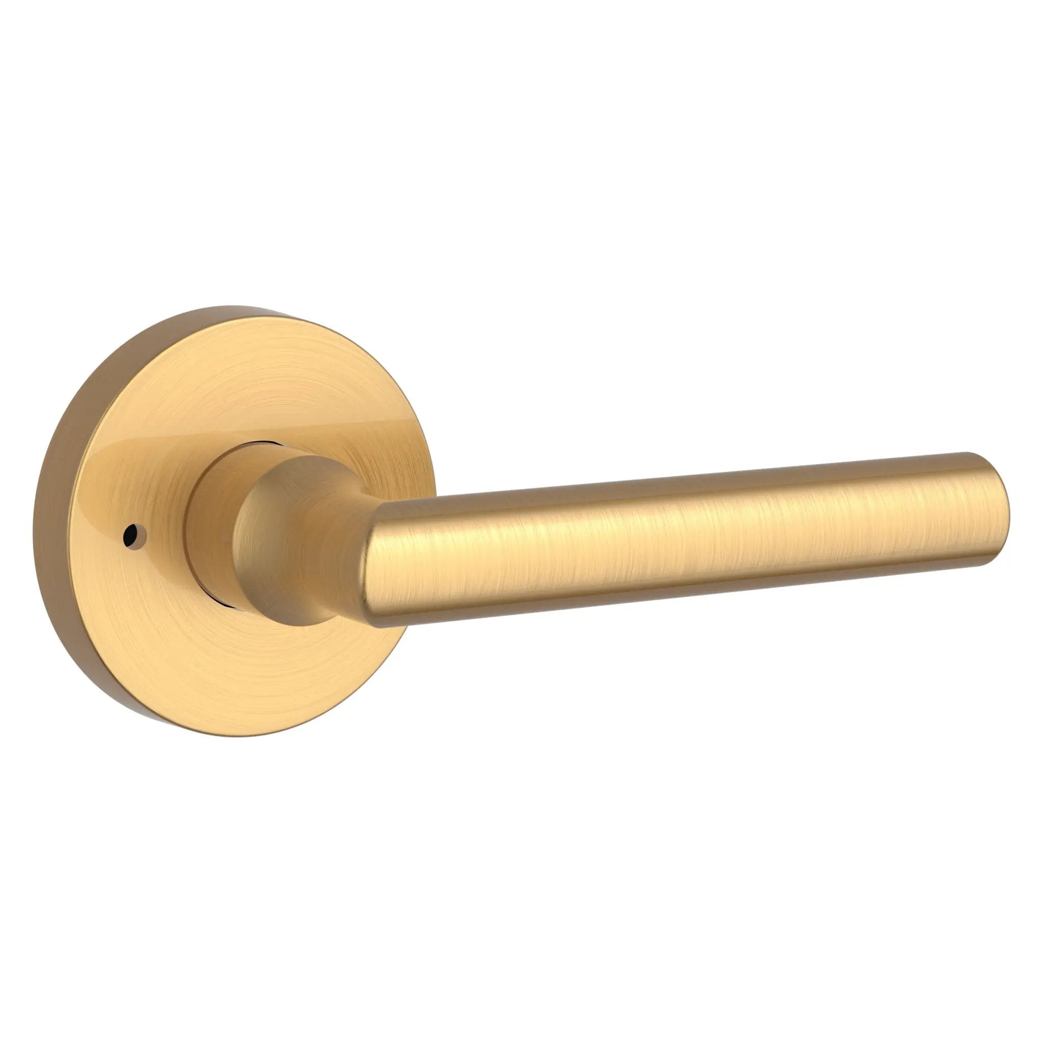 Baldwin Reserve Tube Lever and Contemporary Round Rose by Baldwin
