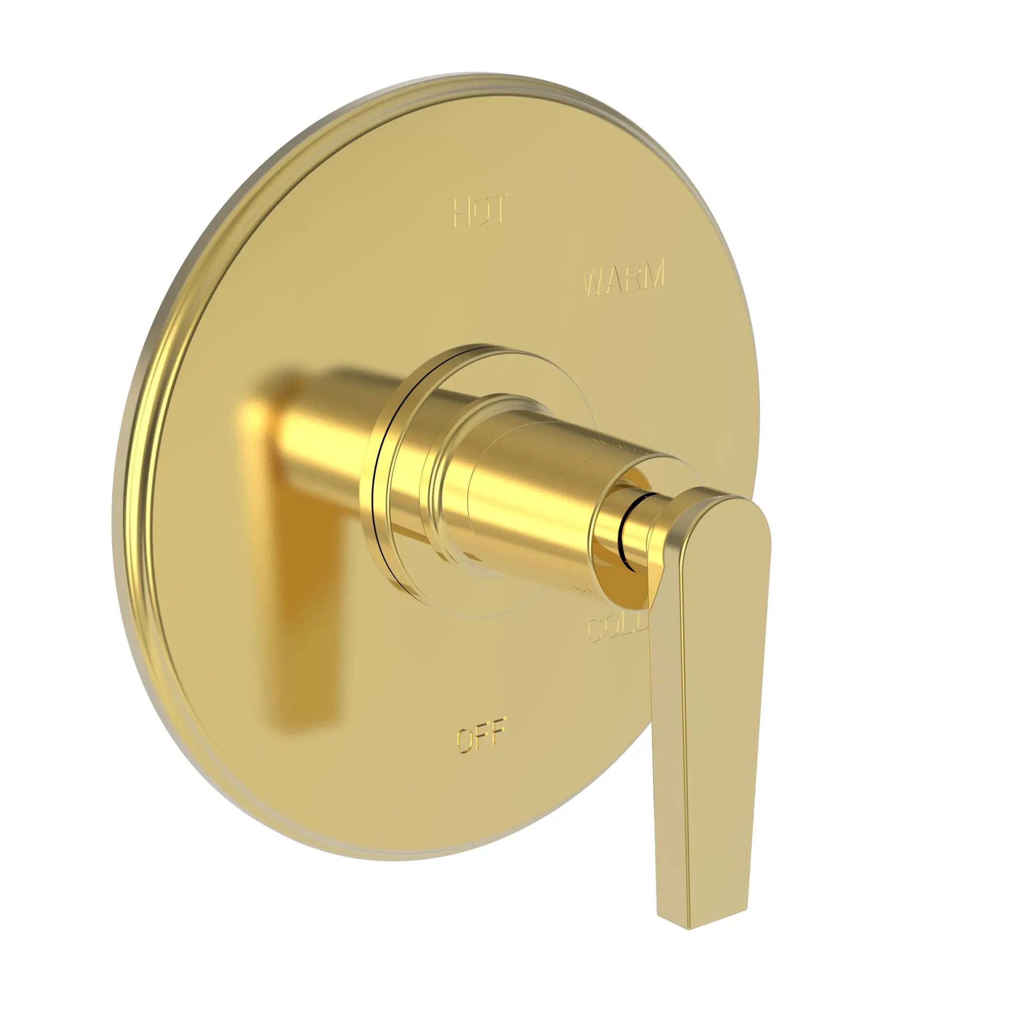 Newport Brass Dorrance Balanced Pressure Shower Trim Plate with Handle. Less showerhead, arm and flange. by Newport Brass