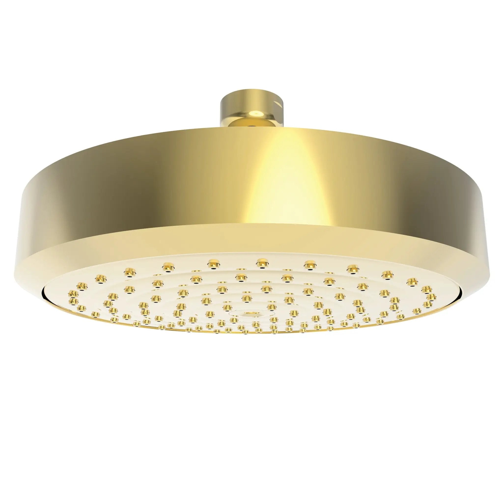 Newport Brass Tub & Shower Single Function Shower Head by Newport Brass