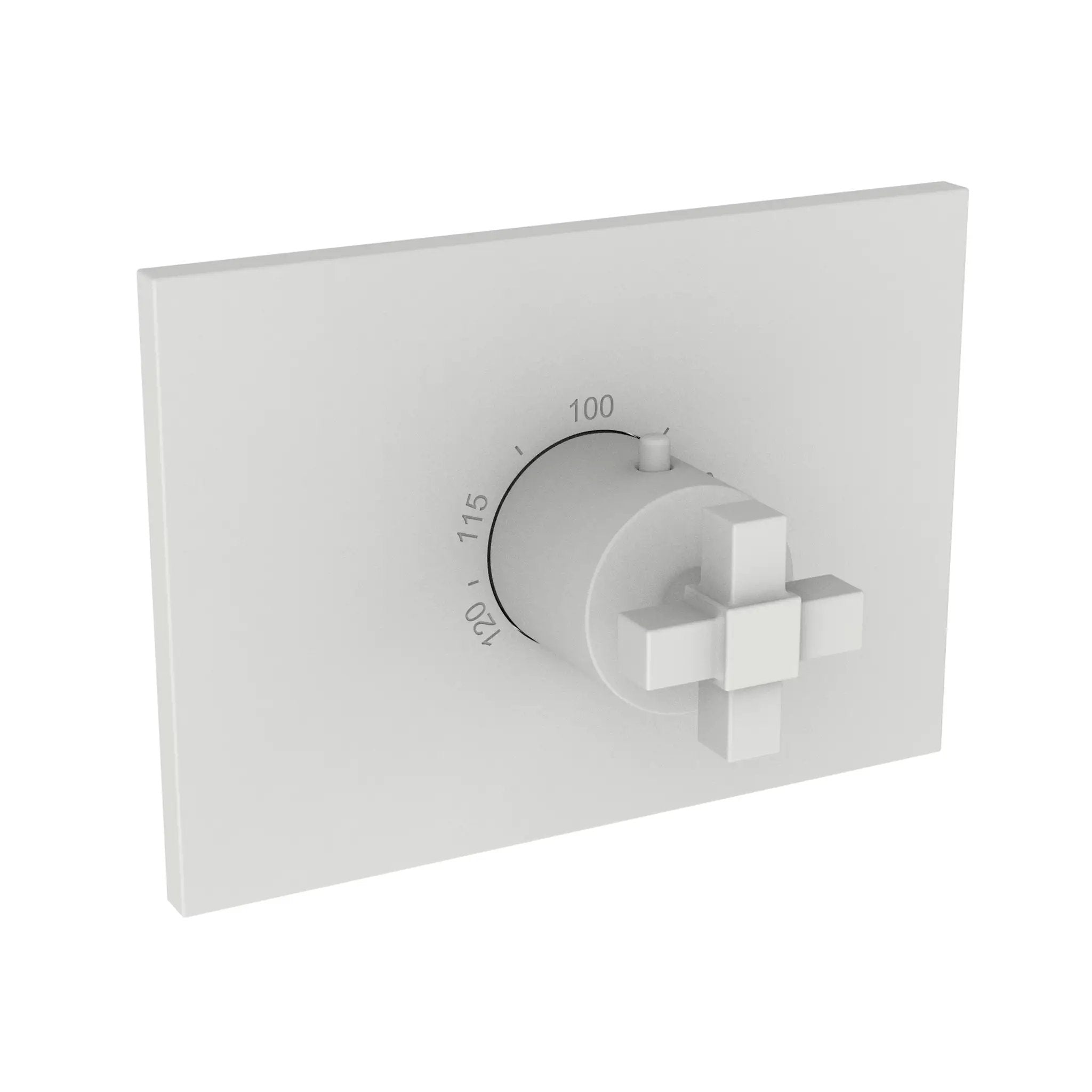 Newport Brass Malvina 3/4" Square Thermostatic Trim Plate with Handle by Newport Brass