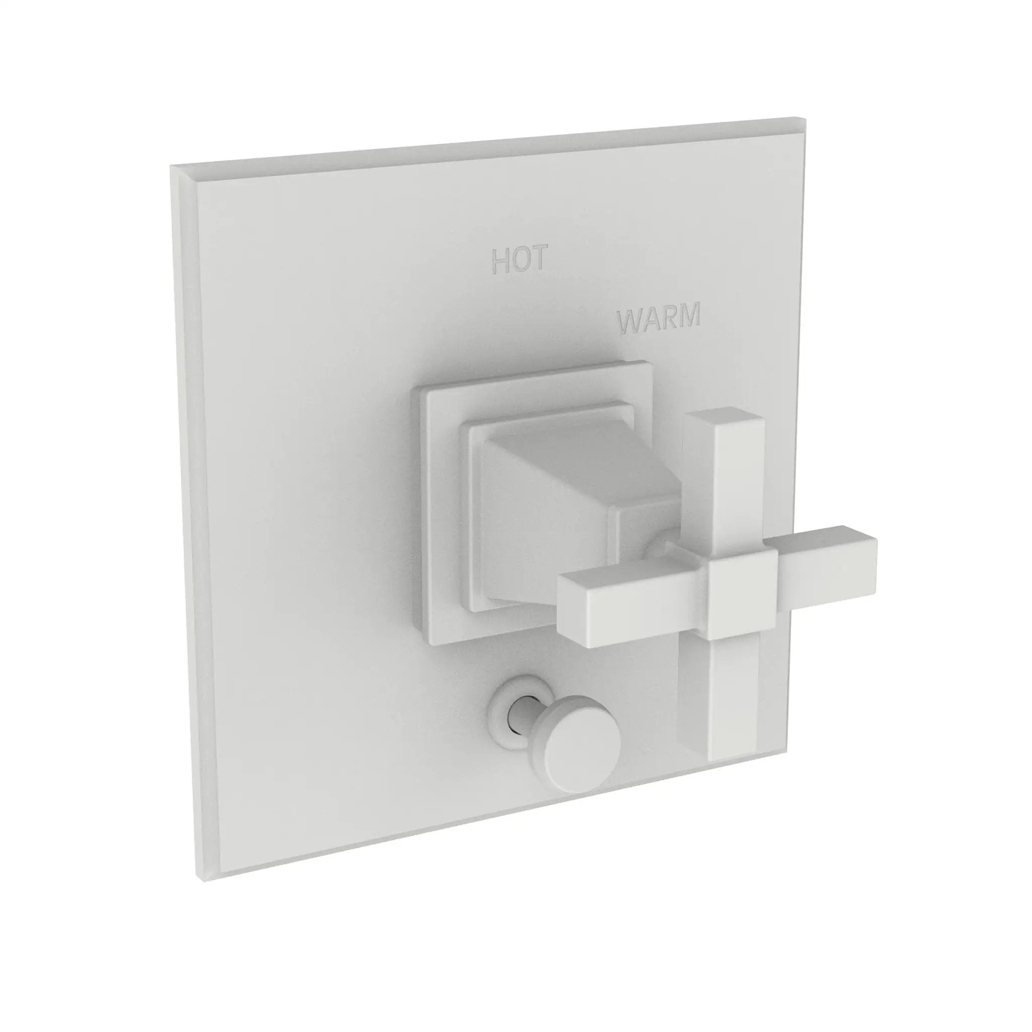 Newport Brass Malvina Balanced Pressure Tub & Shower Diverter Plate with Handle by Newport Brass