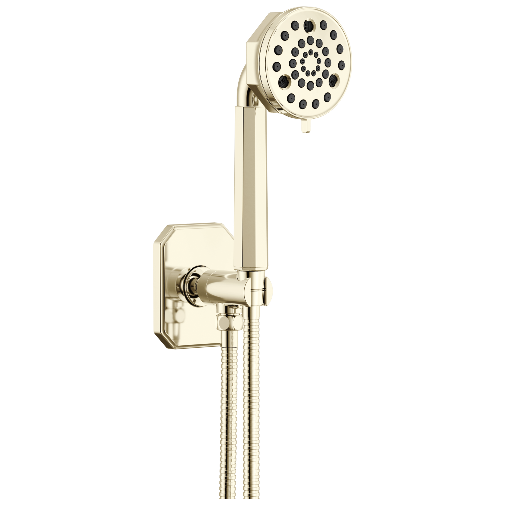 Brizo Beauclere Multi-Function Wall Mount Hand Shower by Brizo
