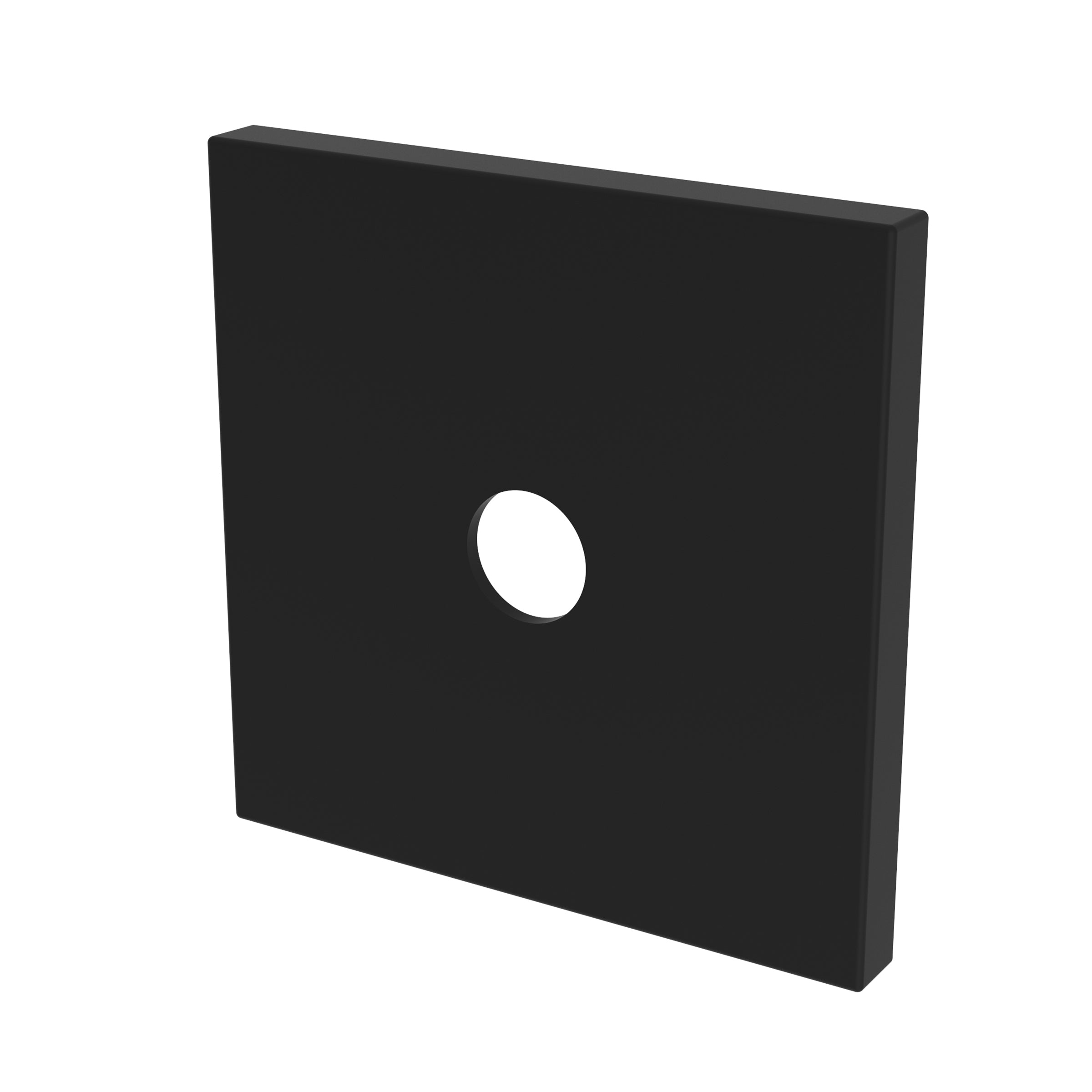 Newport Brass Tub & Shower Diverter Plate