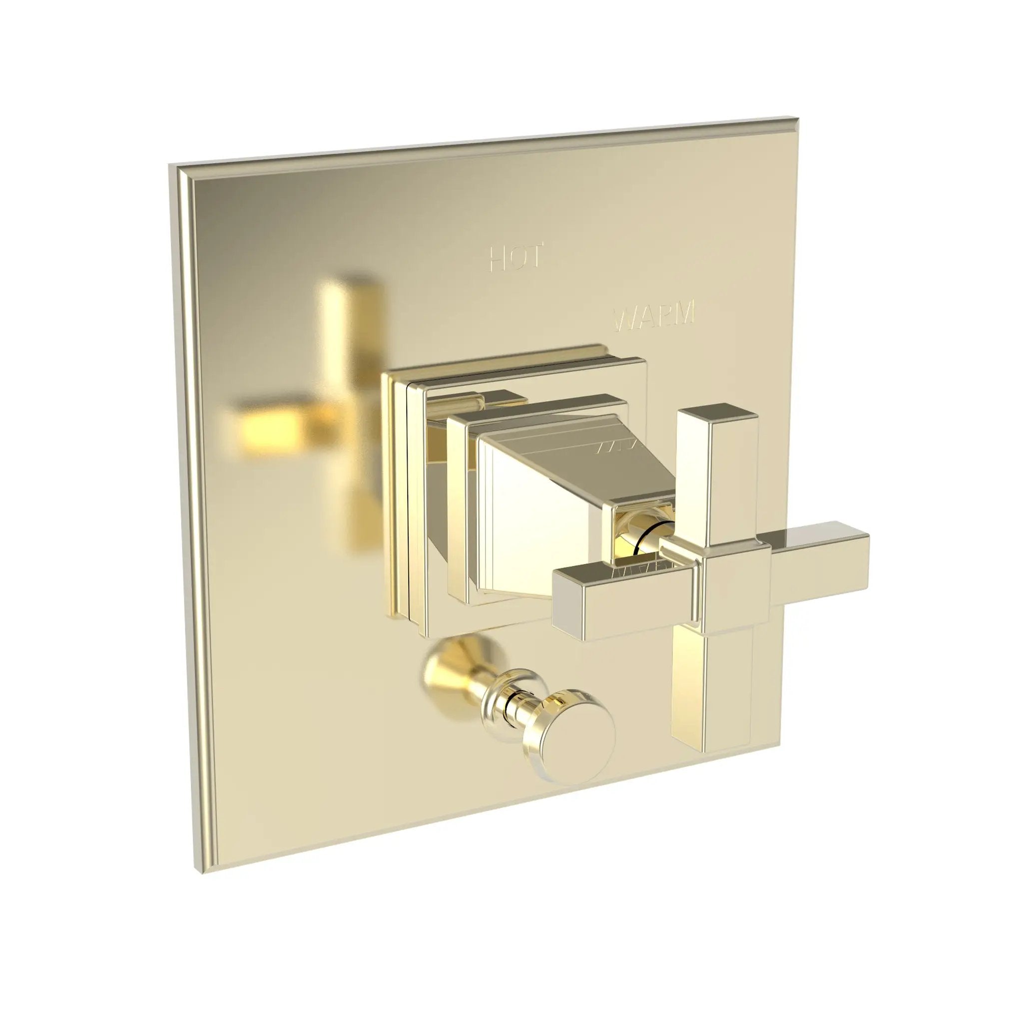 Newport Brass Malvina Balanced Pressure Tub & Shower Diverter Plate with Handle by Newport Brass